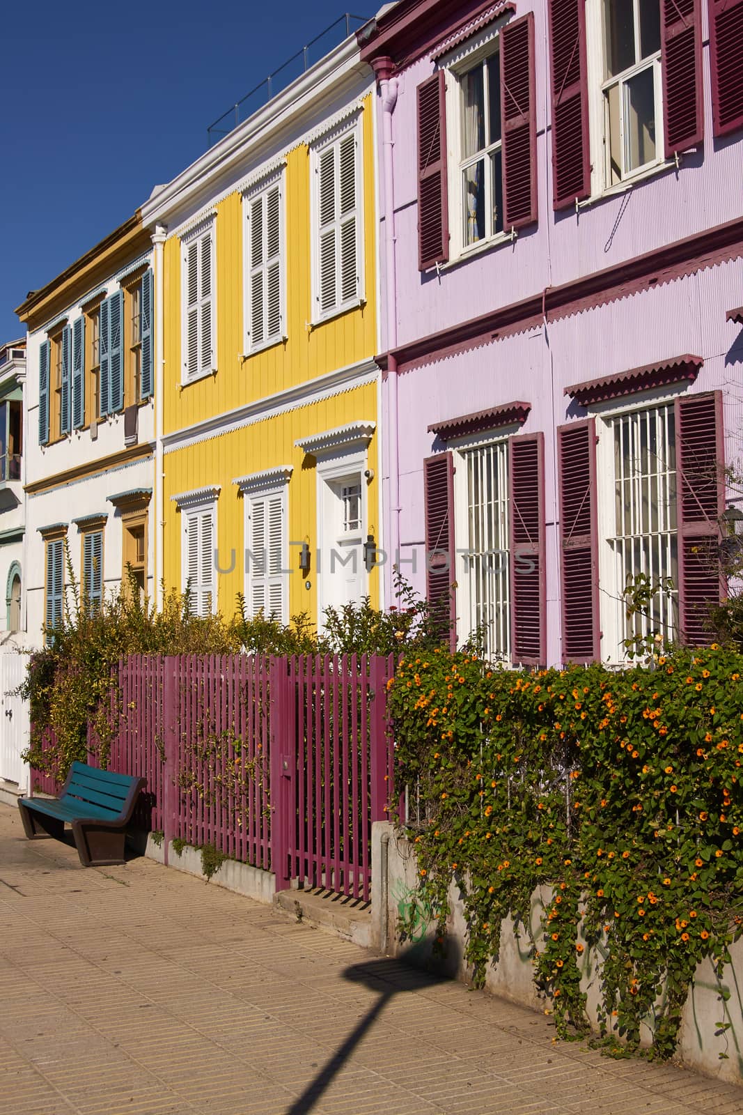 Colourfully painted houses on a lookout in the hills above the harbour in the UNESCO World Heritage City of Valparaiso in Chile.