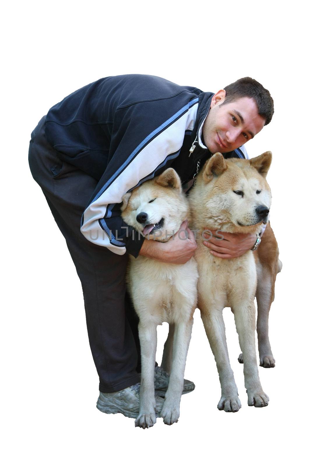 Two Akitas enjoy in cuddle of young man,isolated on white