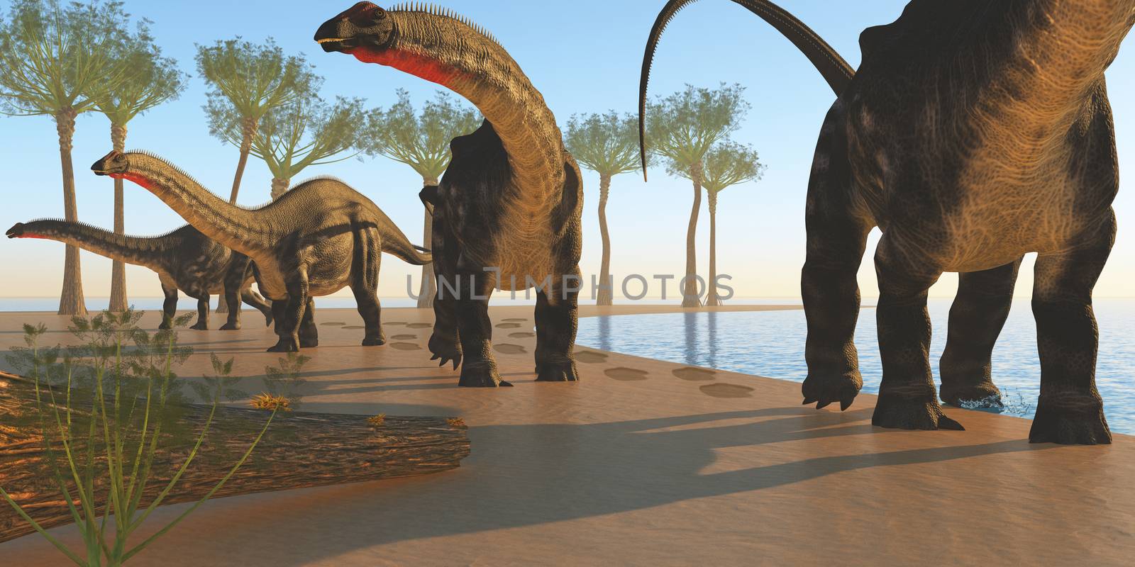 A herd of Apatasaurus dinosaurs wander back to the forest after their morning drink at a lake.