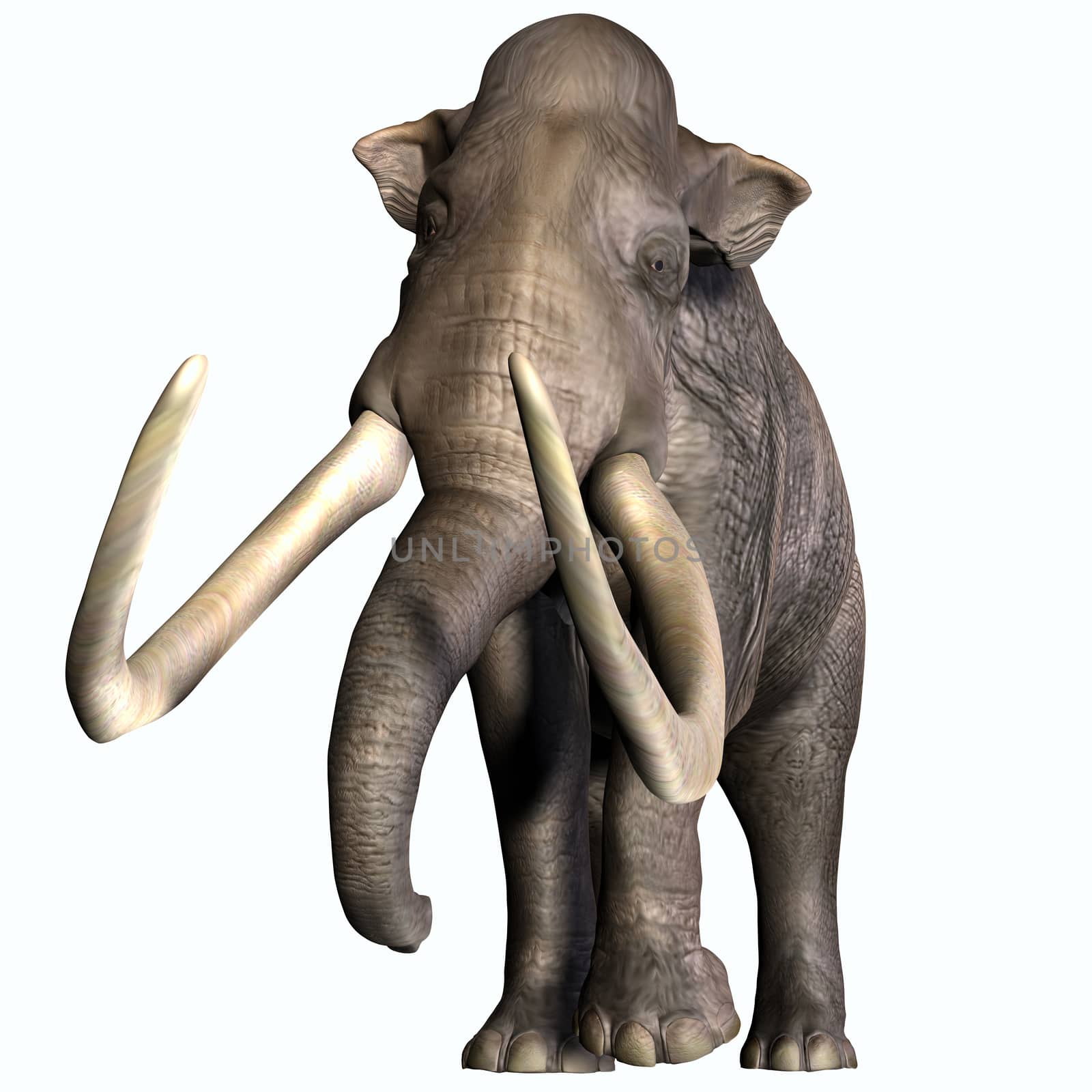 The Columbian Mammoth lived during the Quaternary Period of North and Middle America.