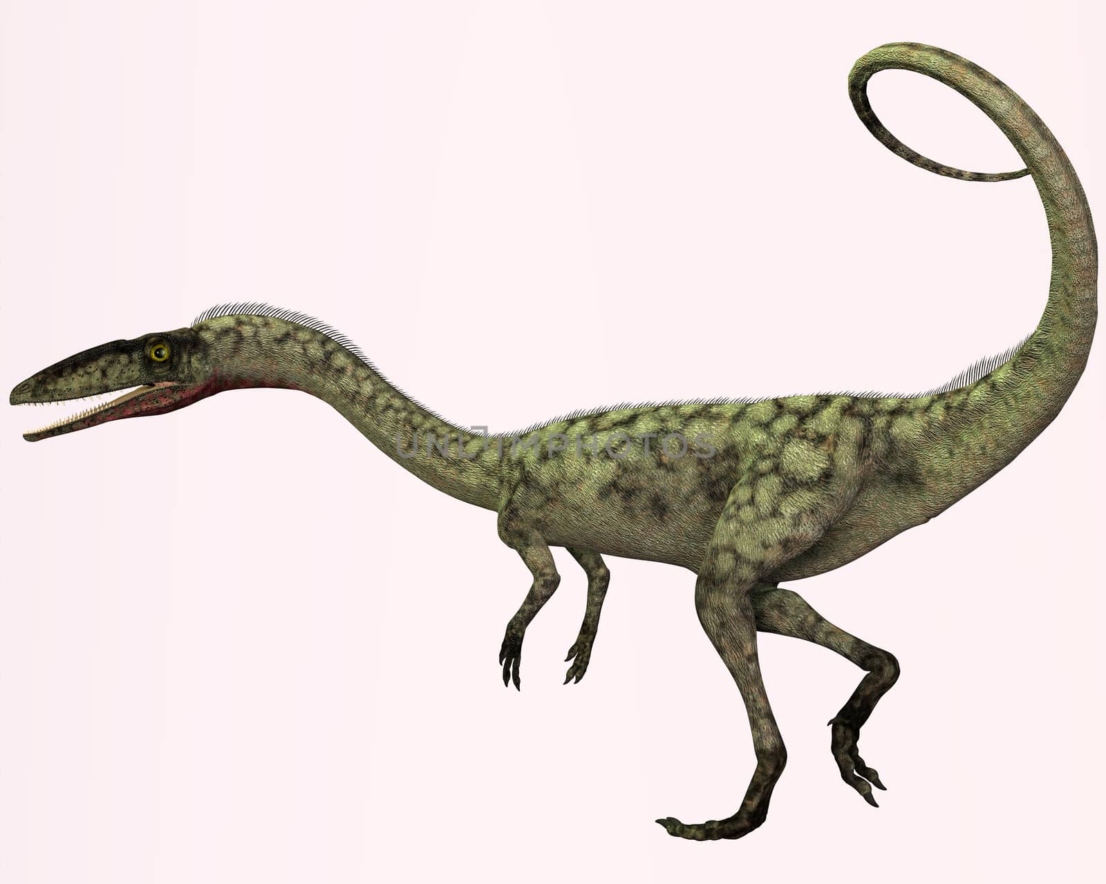 Coelophysis is the earliest known dinosaur. It was a carnivorous theropod that lived in North America during the Triassic Period.