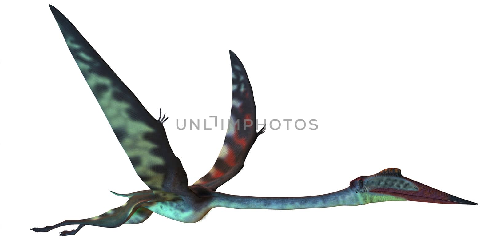 Quetzalcoatlus Profile by Catmando
