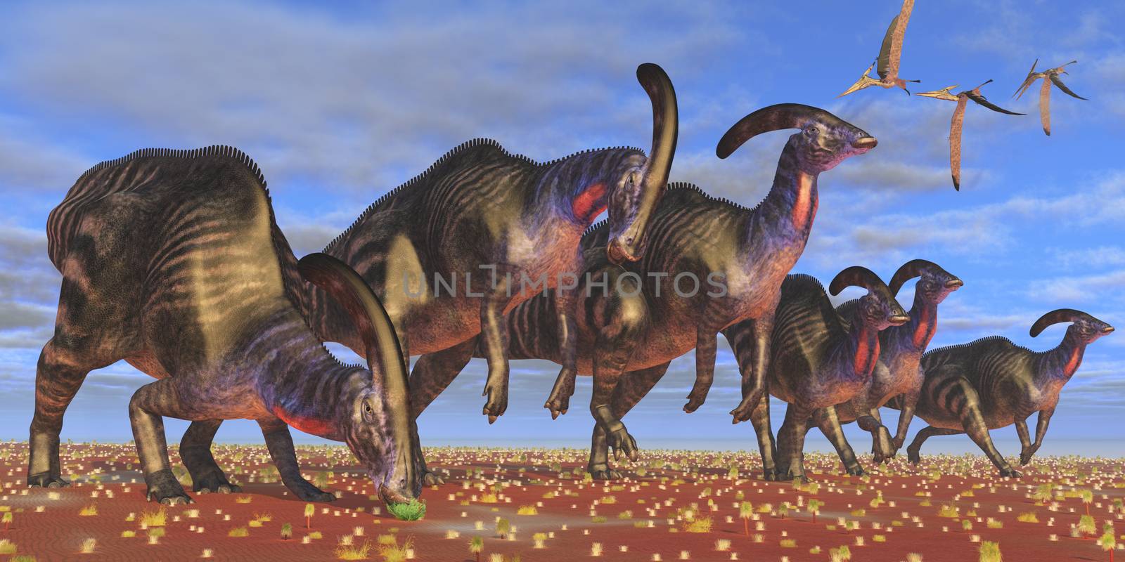 A flock of Pteranodon longiceps fly over a herd of Parasaurolophus dinosaurs as they look for better vegetation to eat.