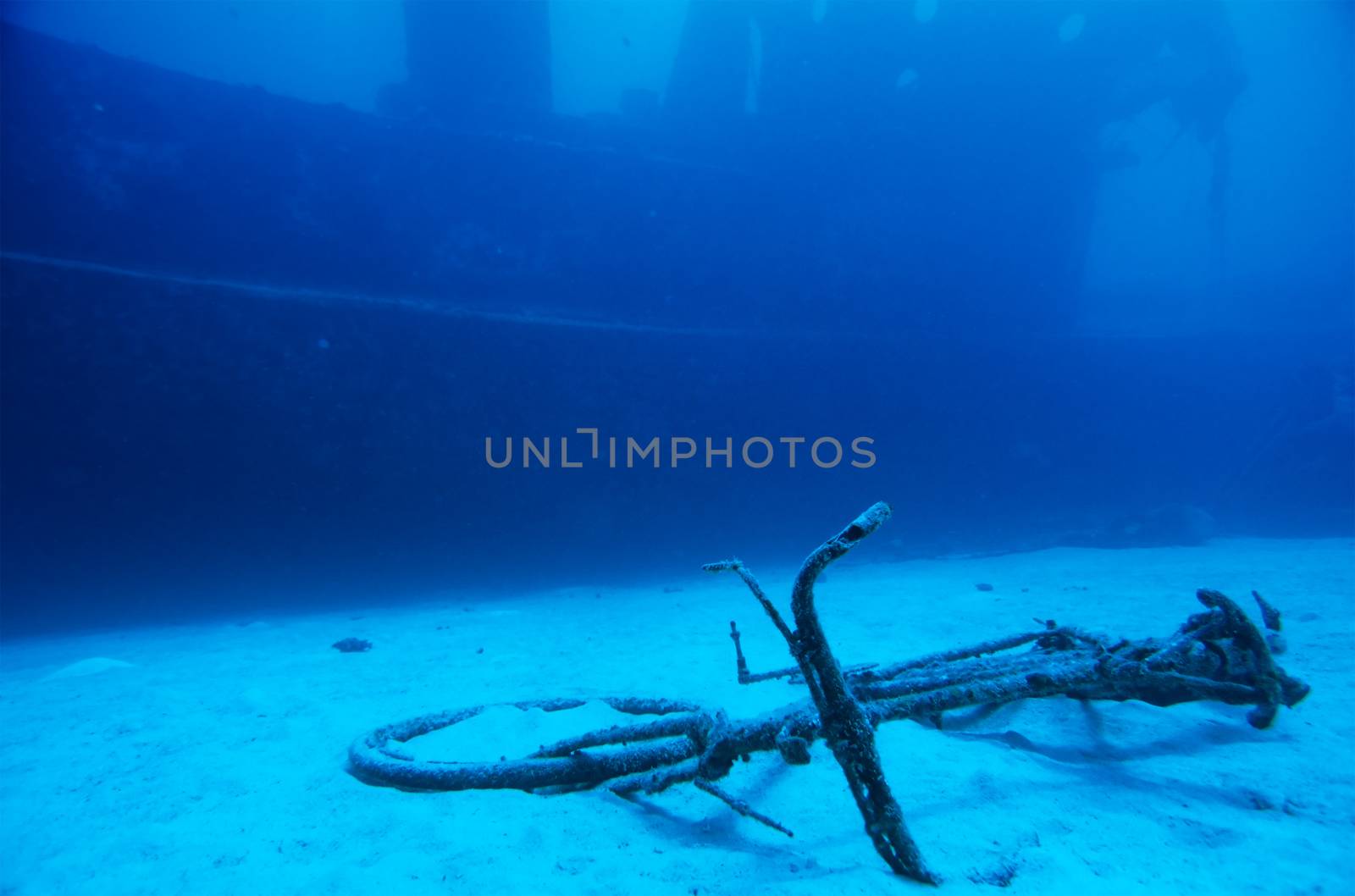 A Wreck and a Bicycle