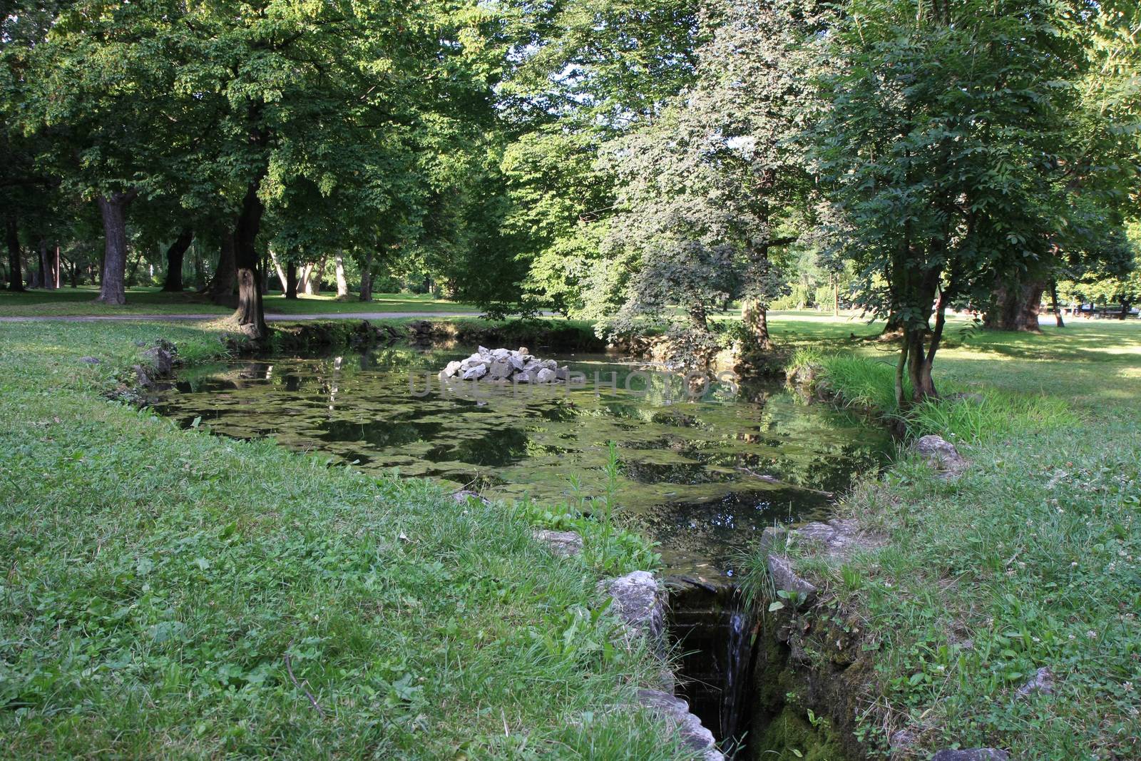 Small pond with water lily in the park