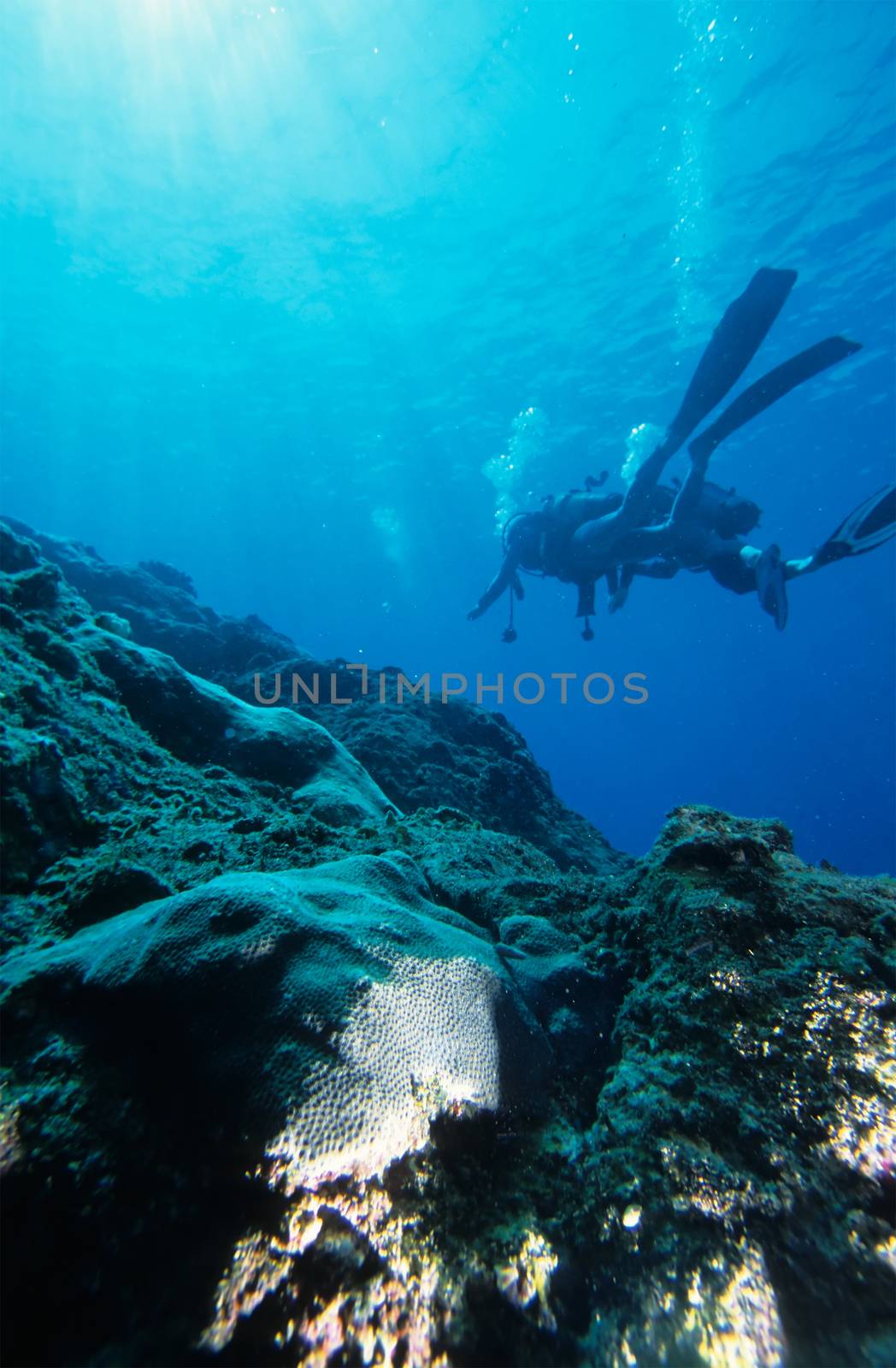 Reef Diving by seawaters