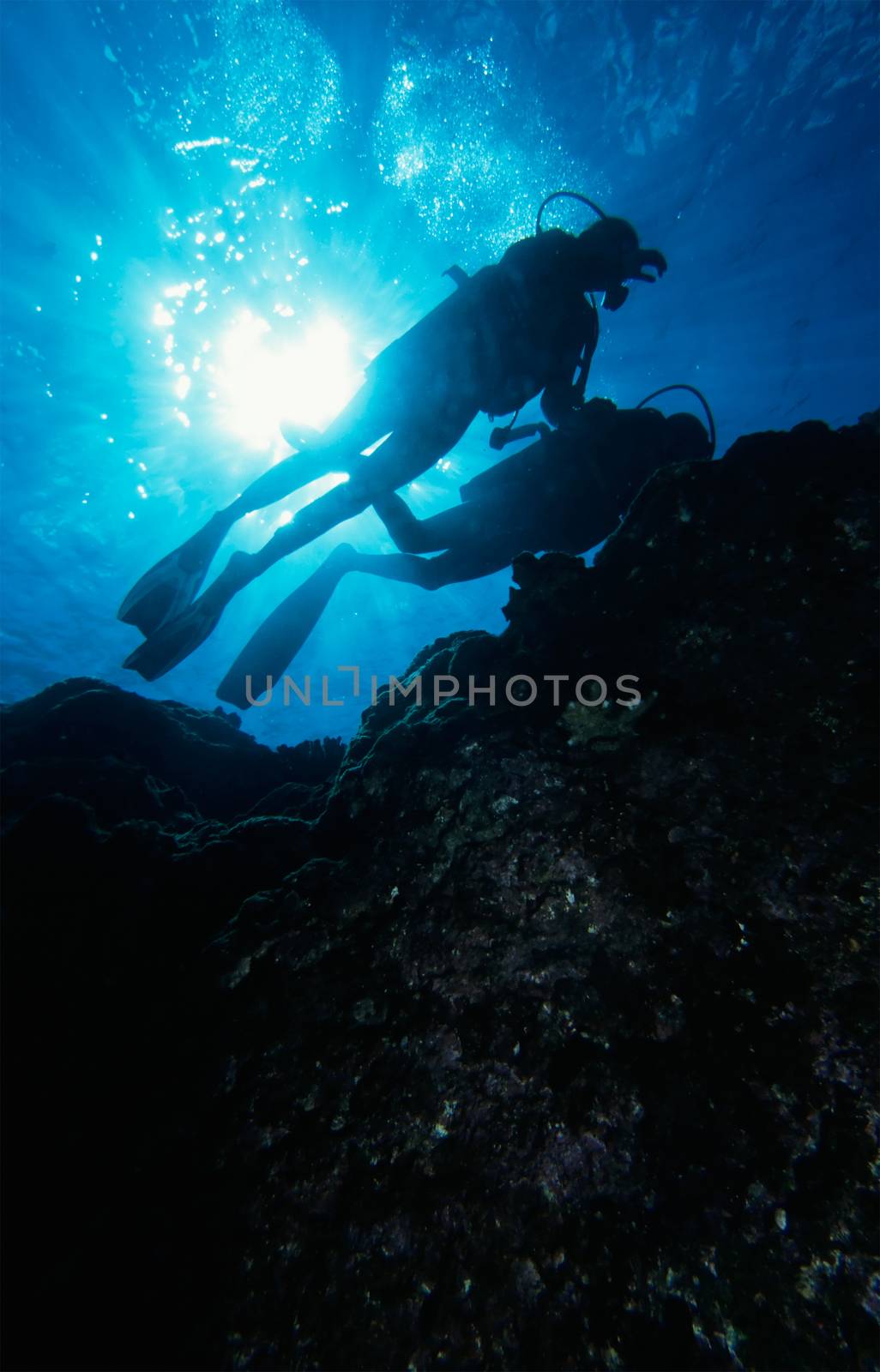 Scuba divers on a coral Reef