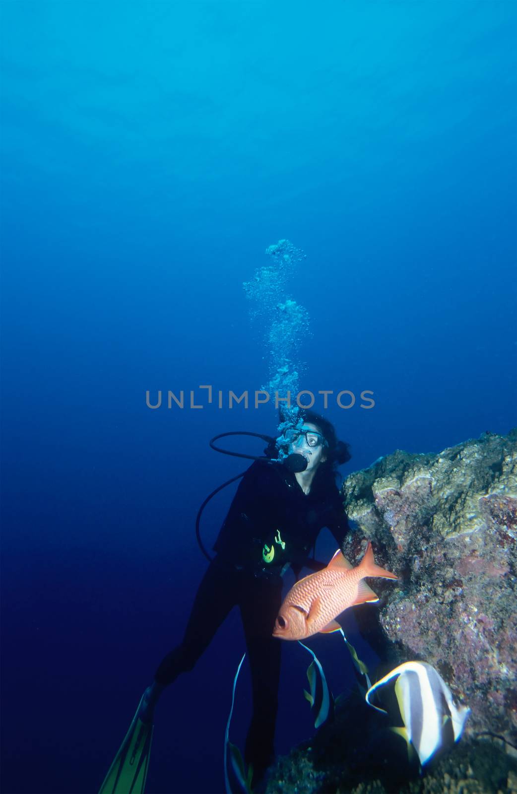 Attractive female diving looking at her bubbles