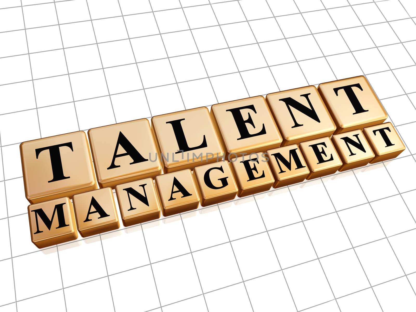 talent management in golden cubes by marinini