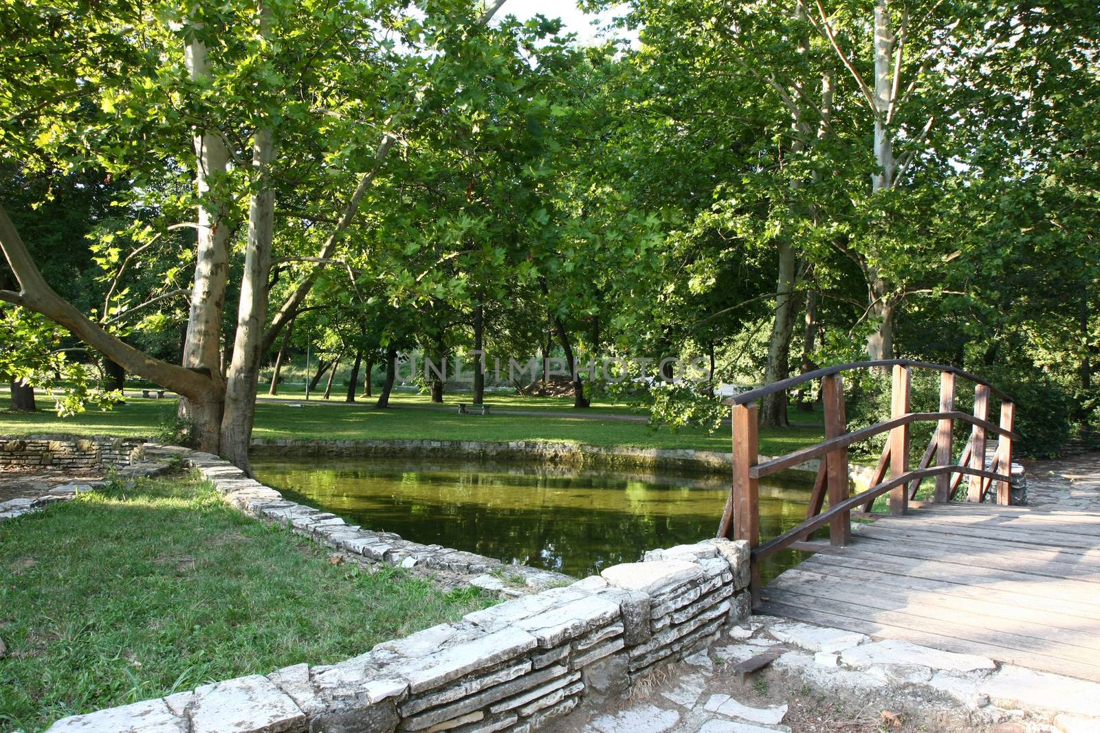 Smalle bridge over pond in the city park
