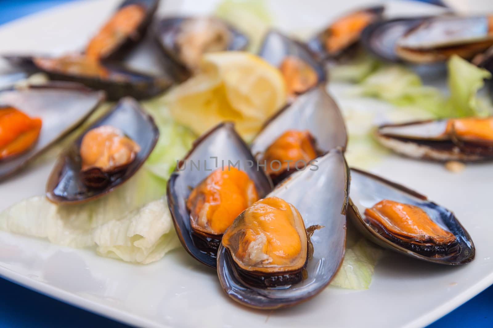  Plate of steamed mussels with lettuce leaves and lemon
