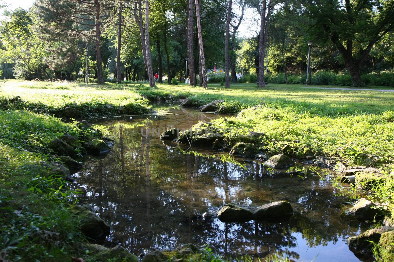 Small creek in the city park
