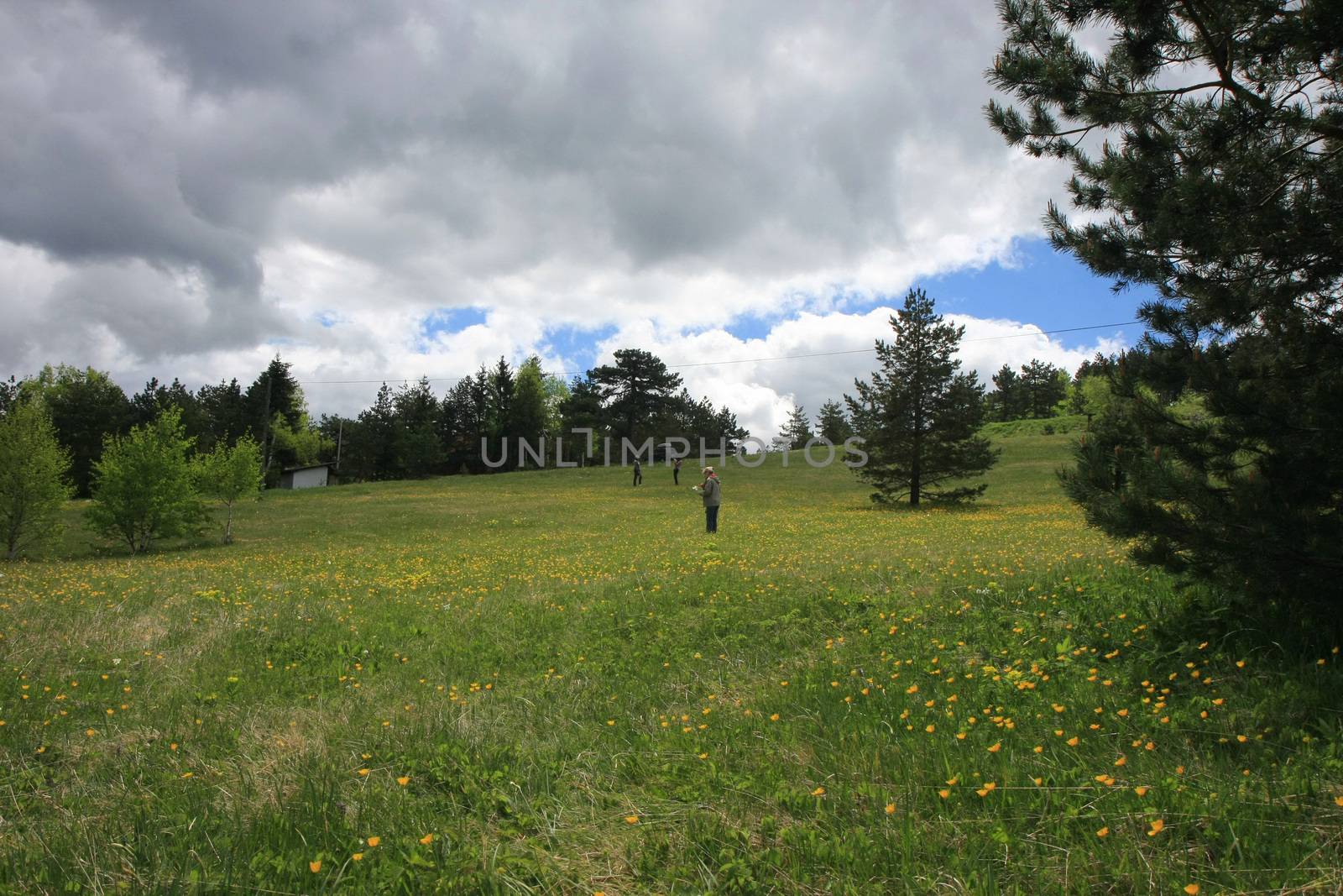 Landscape on Serbian mountain Divcibare