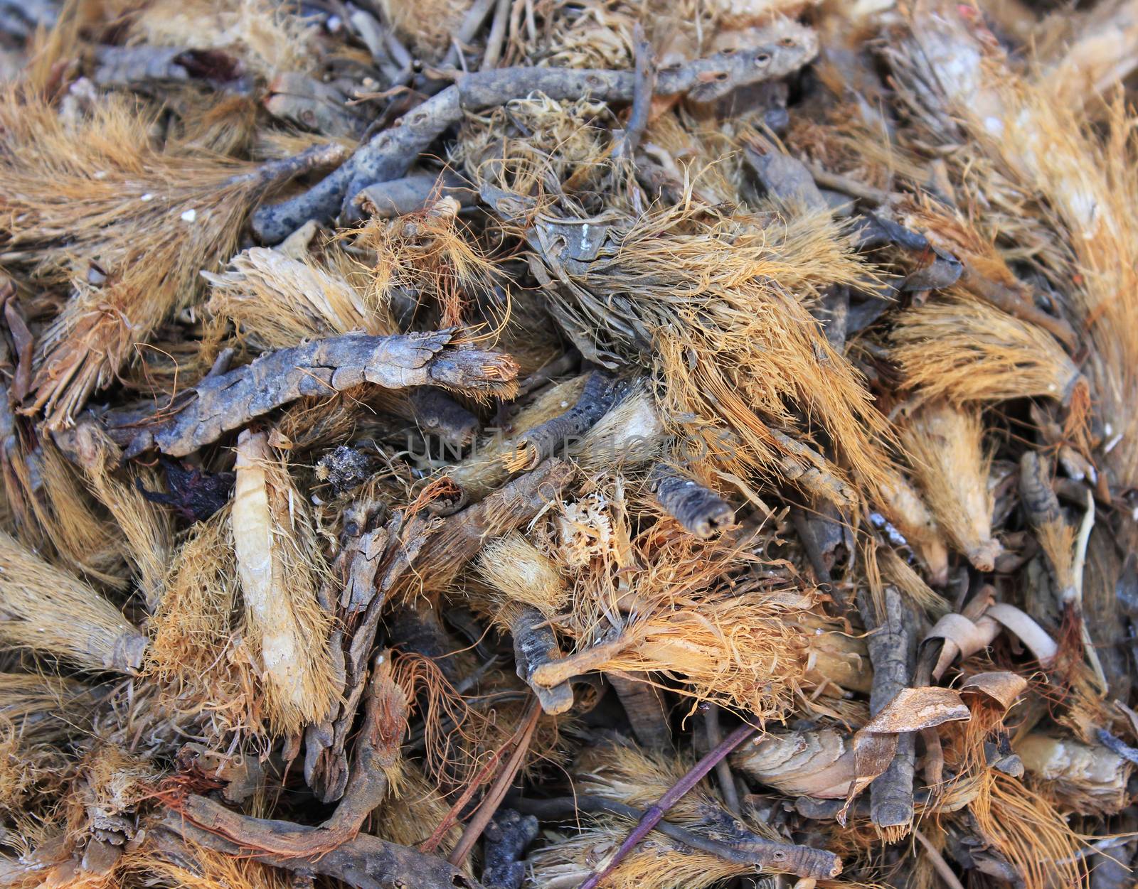 Spices and herbs on oriental market 