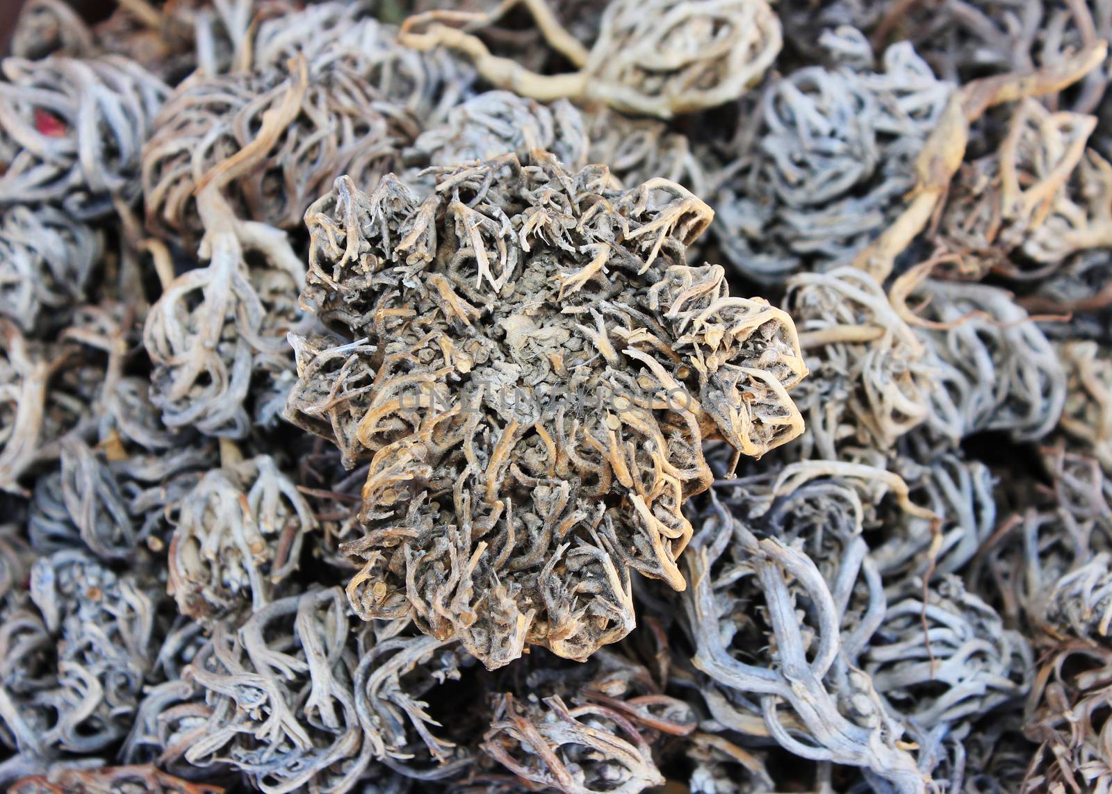 Spices and herbs on oriental market 