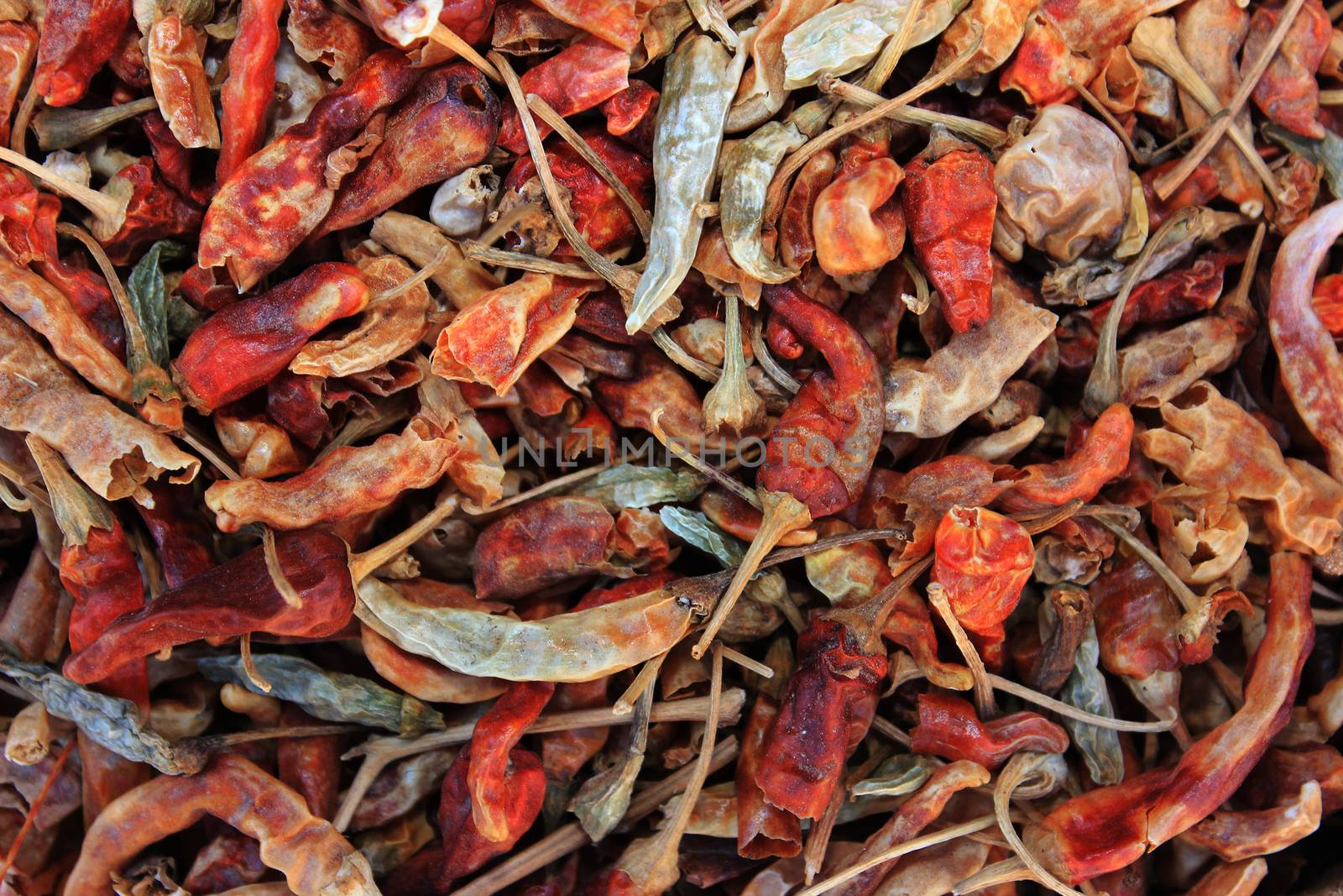Red hot dry chili pepper pattern