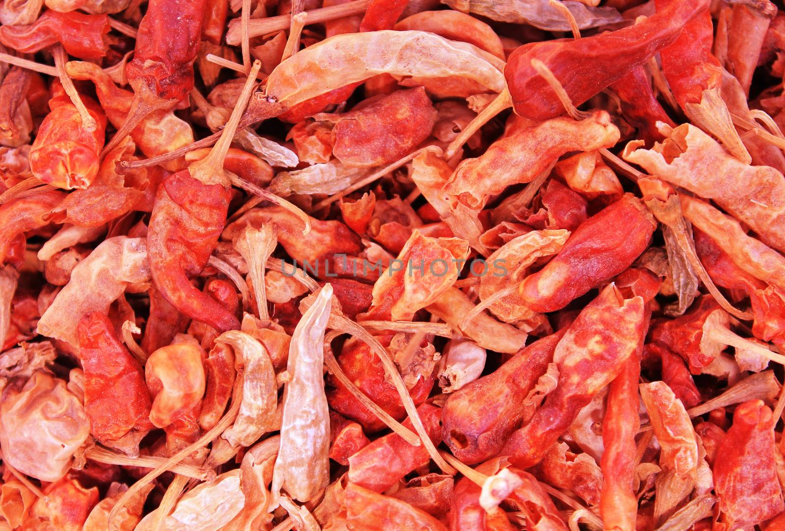 Red hot dry chili pepper pattern