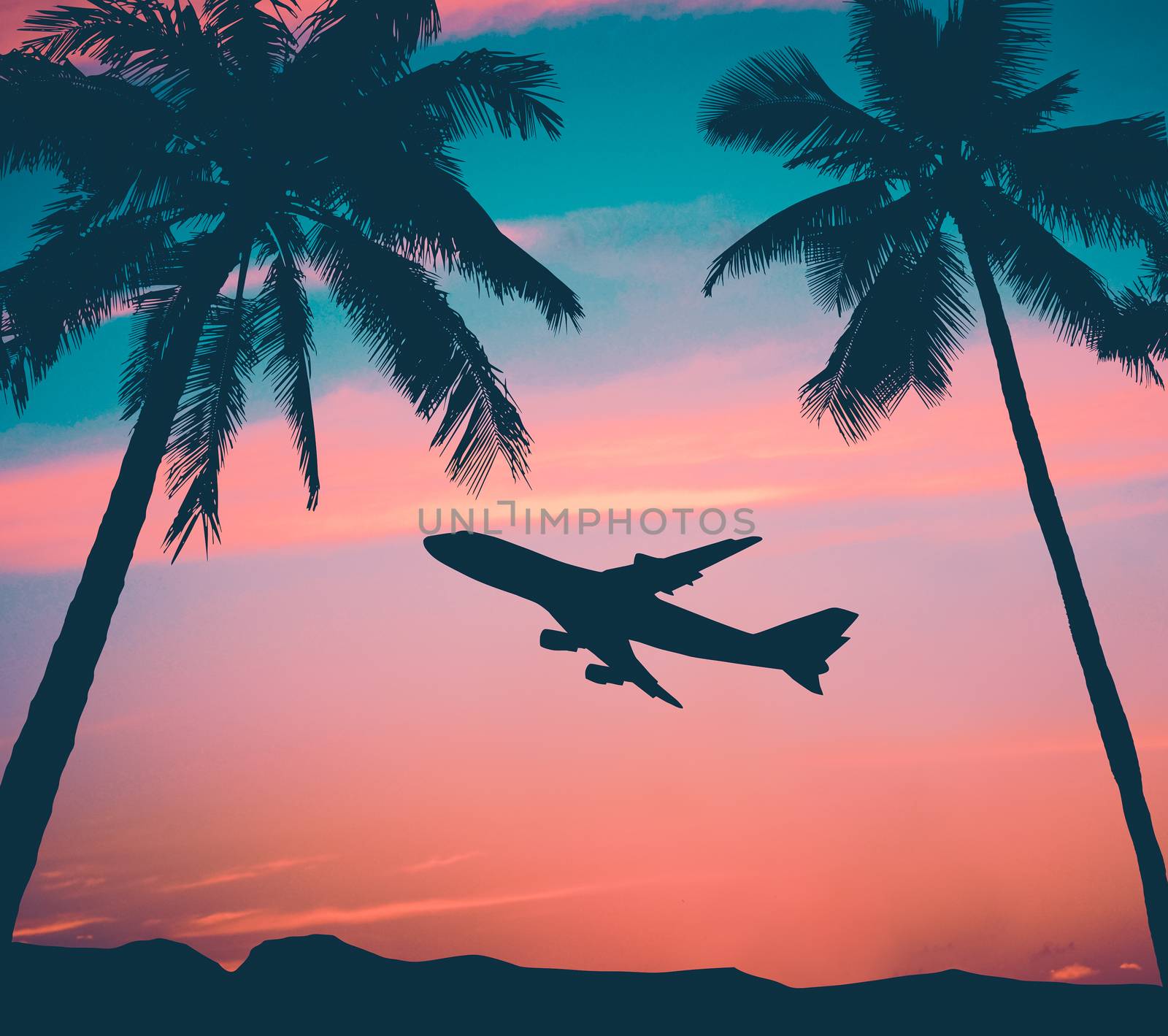 Retro Airliner With Palm Trees by mrdoomits