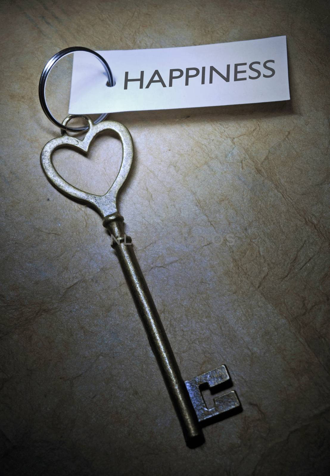 Key labeled happiness attached to a golden key