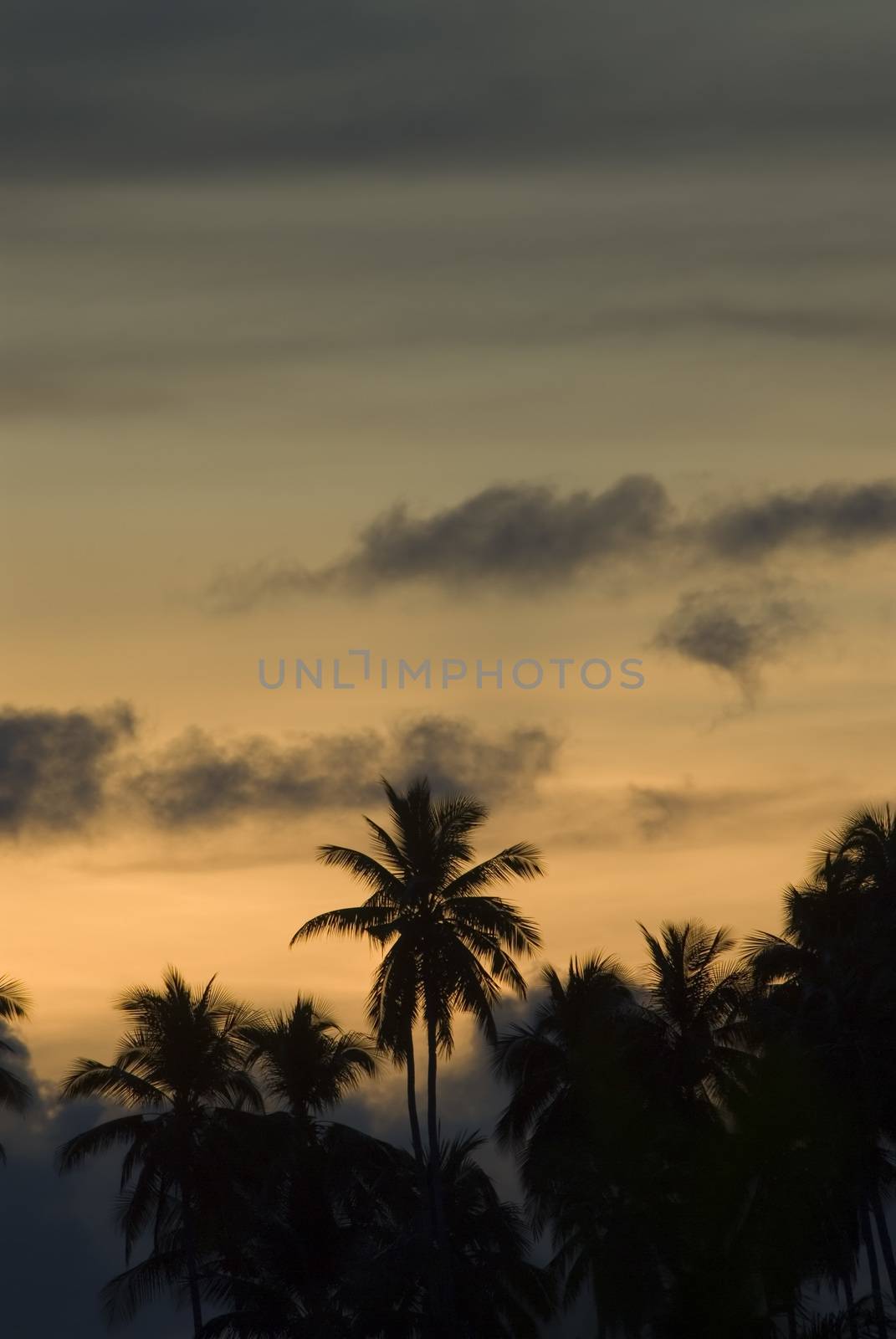 An evening sunset on the island of Mabul, Sabah, Borneo