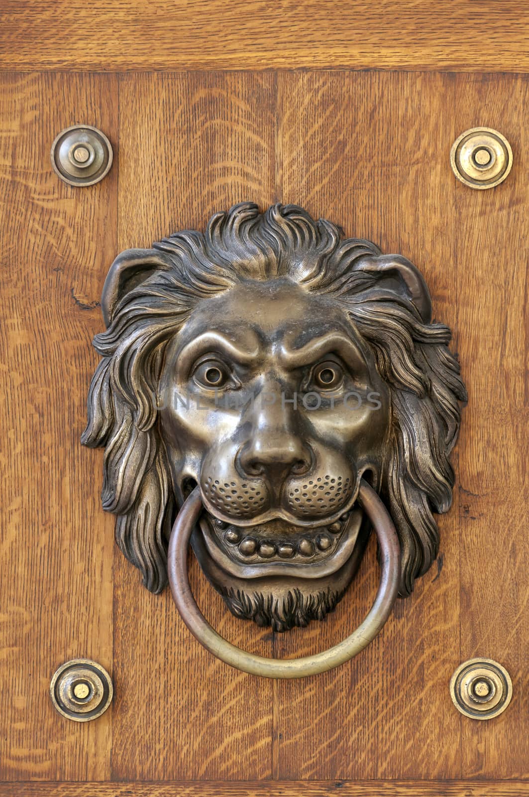 Close up view of a lion's head door knocker.
