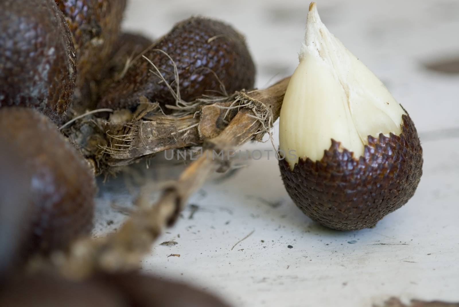 Unusual Fruit with snake like skin, Indonesia