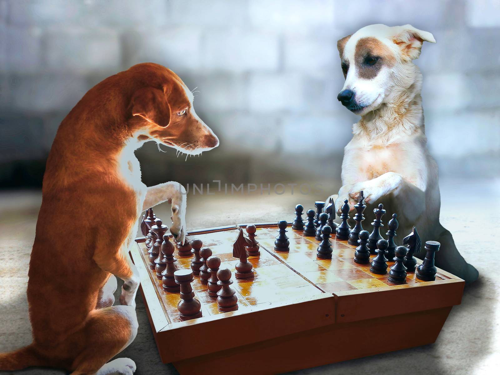 Two smart dogs playing chess in the garage.