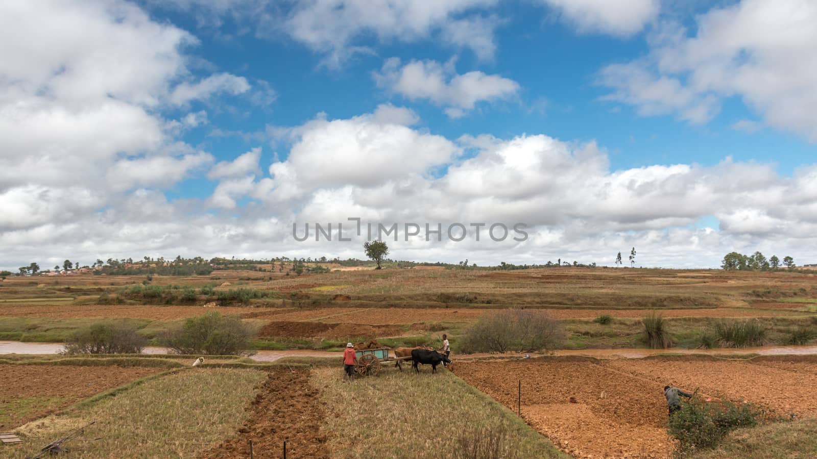 Farmers in rural Madagascar by derejeb