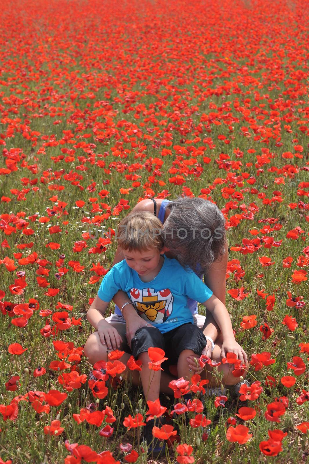 Poppy Field by seawaters