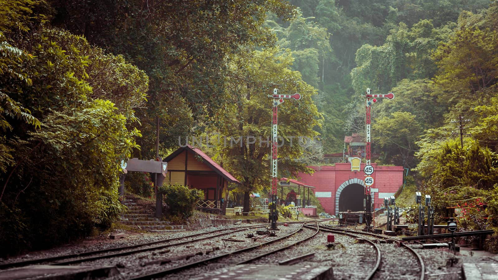 railway tunnel with old brick in forest and mountain.