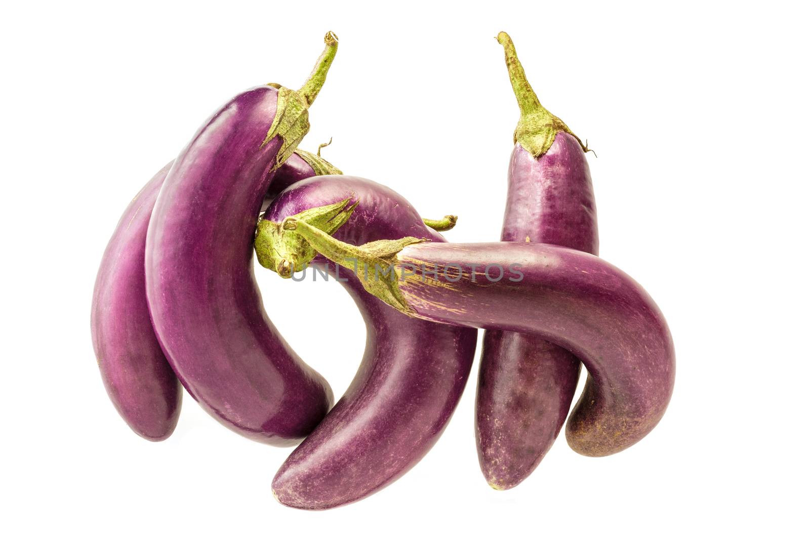 purple eggplant isolated on white background.