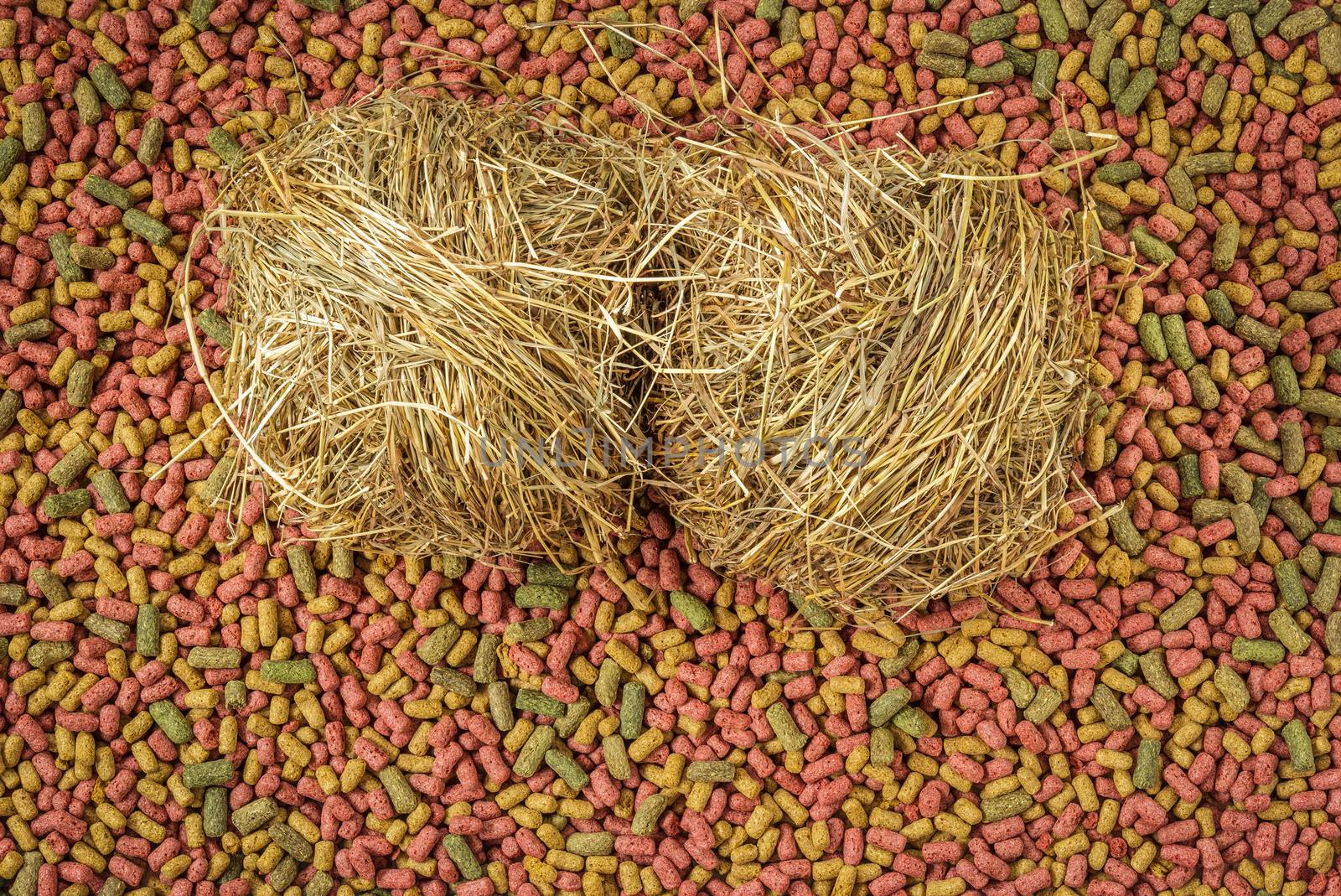 hay on rodent food background.