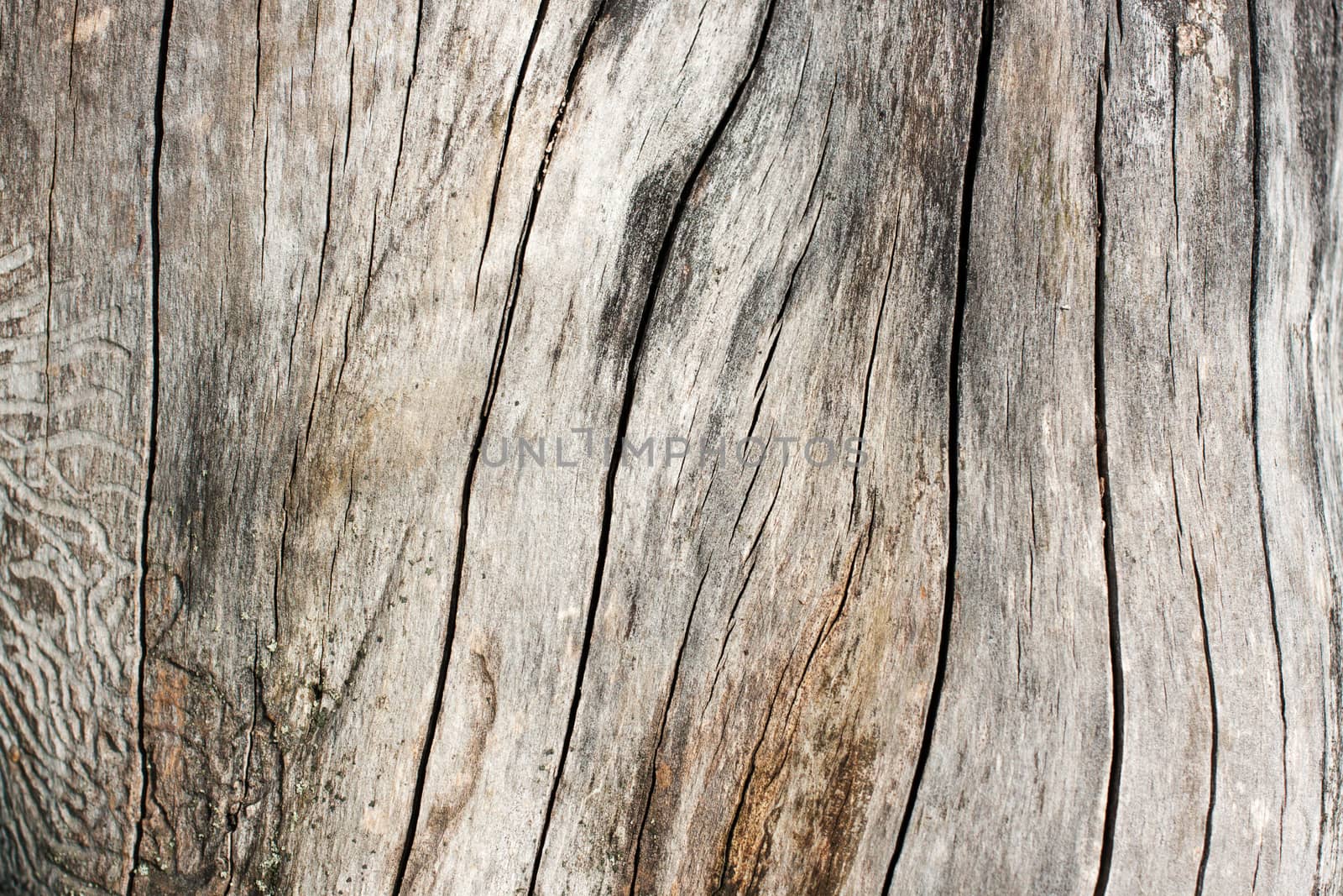 Dirty old wooden background