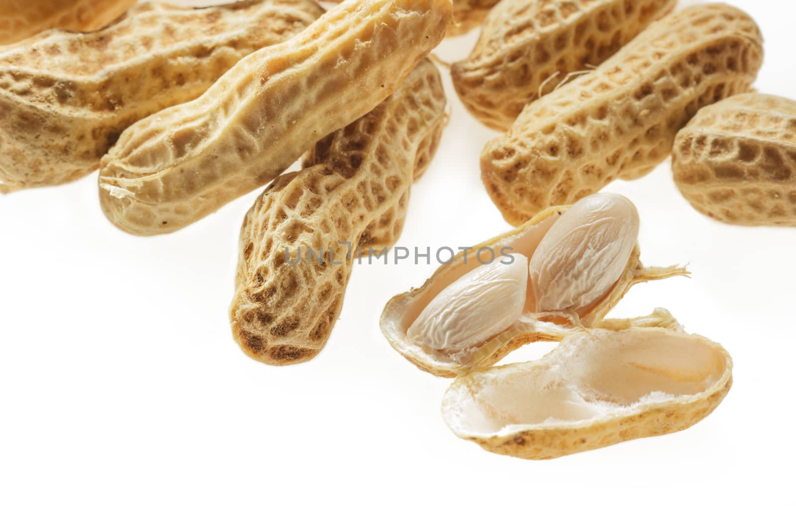 closeup boiled peanuts on white background