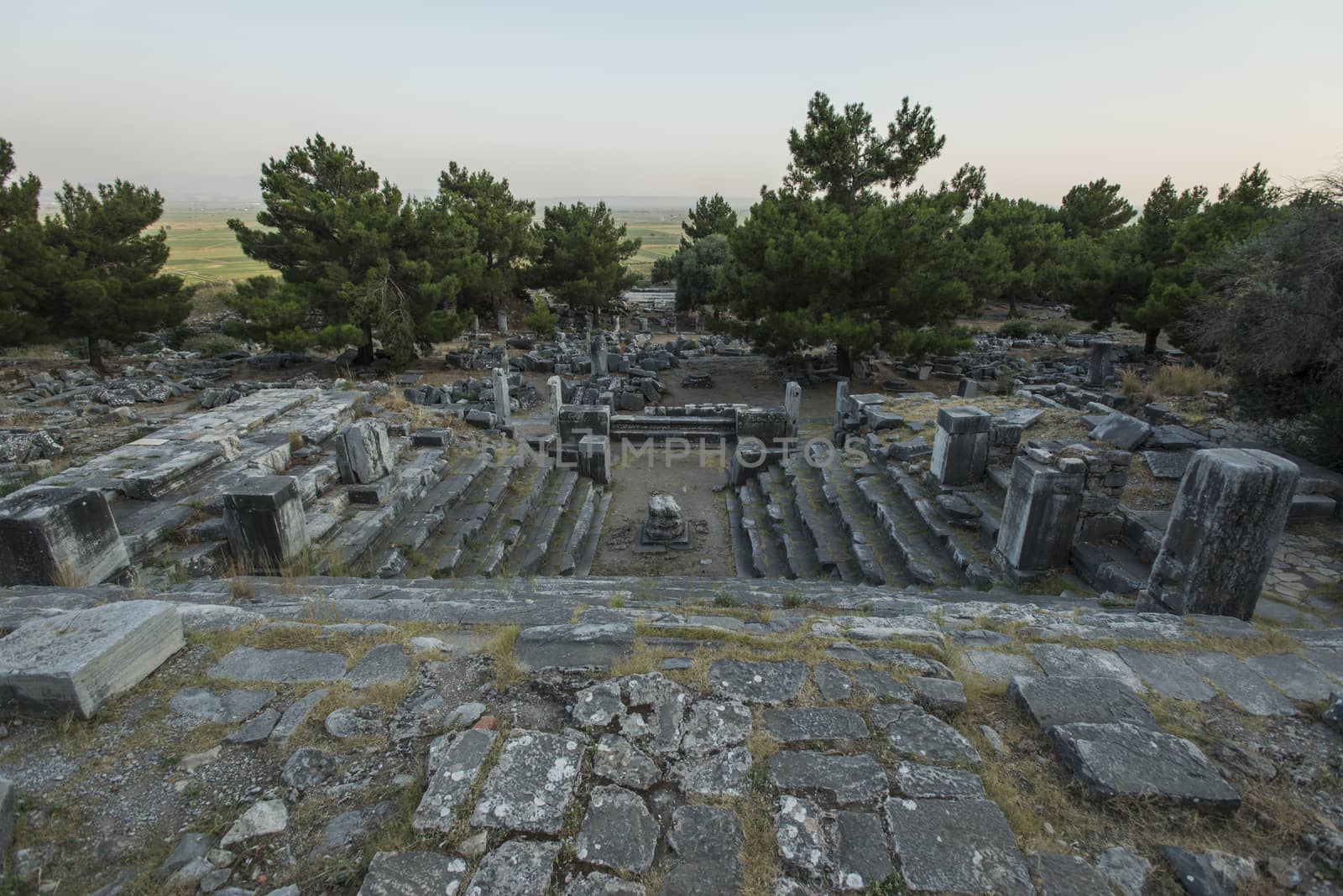 Columns of Priene