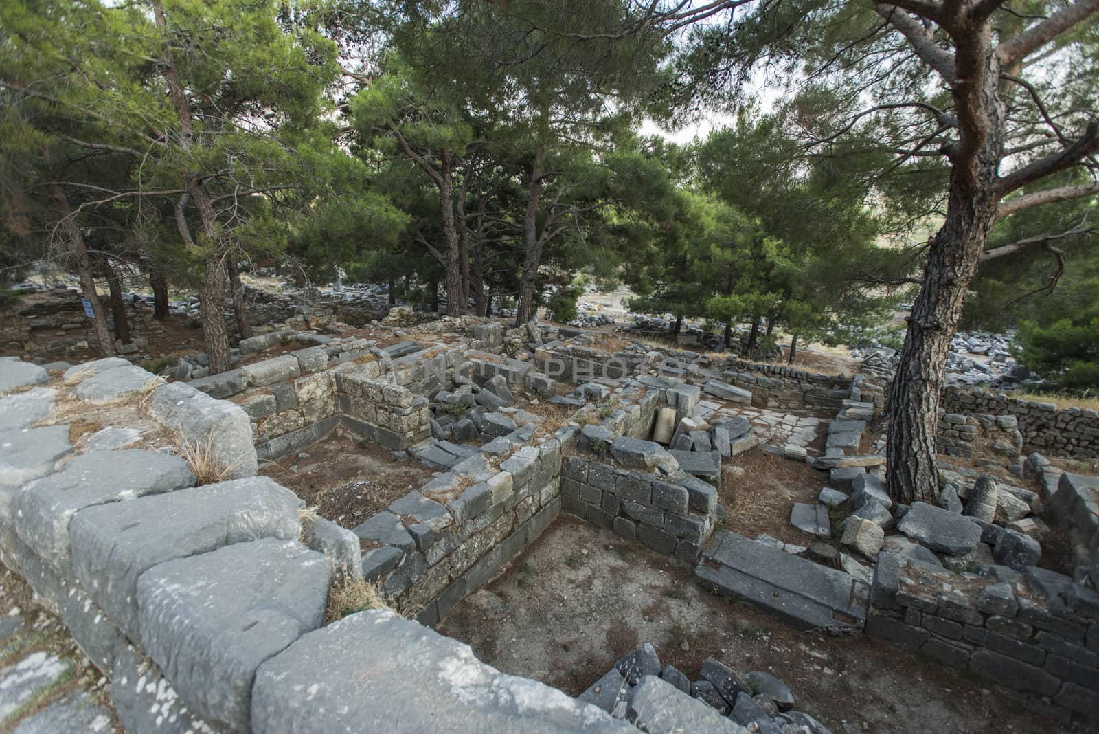 Columns of Priene