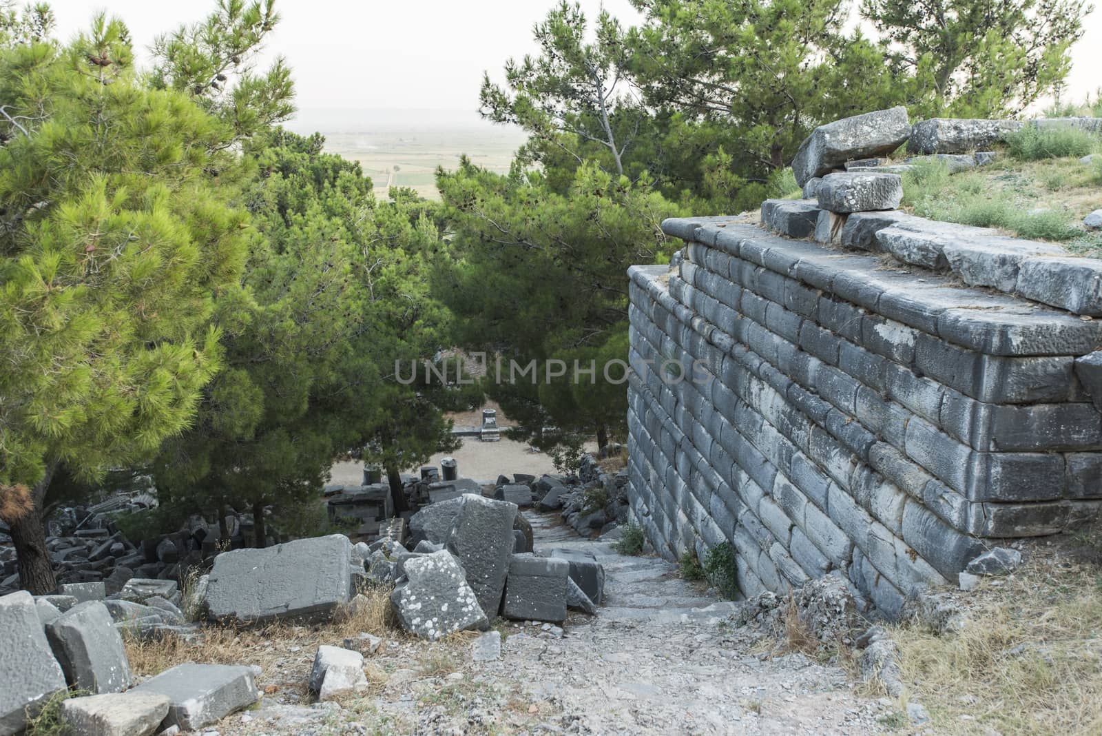 Columns of Priene by emirkoo