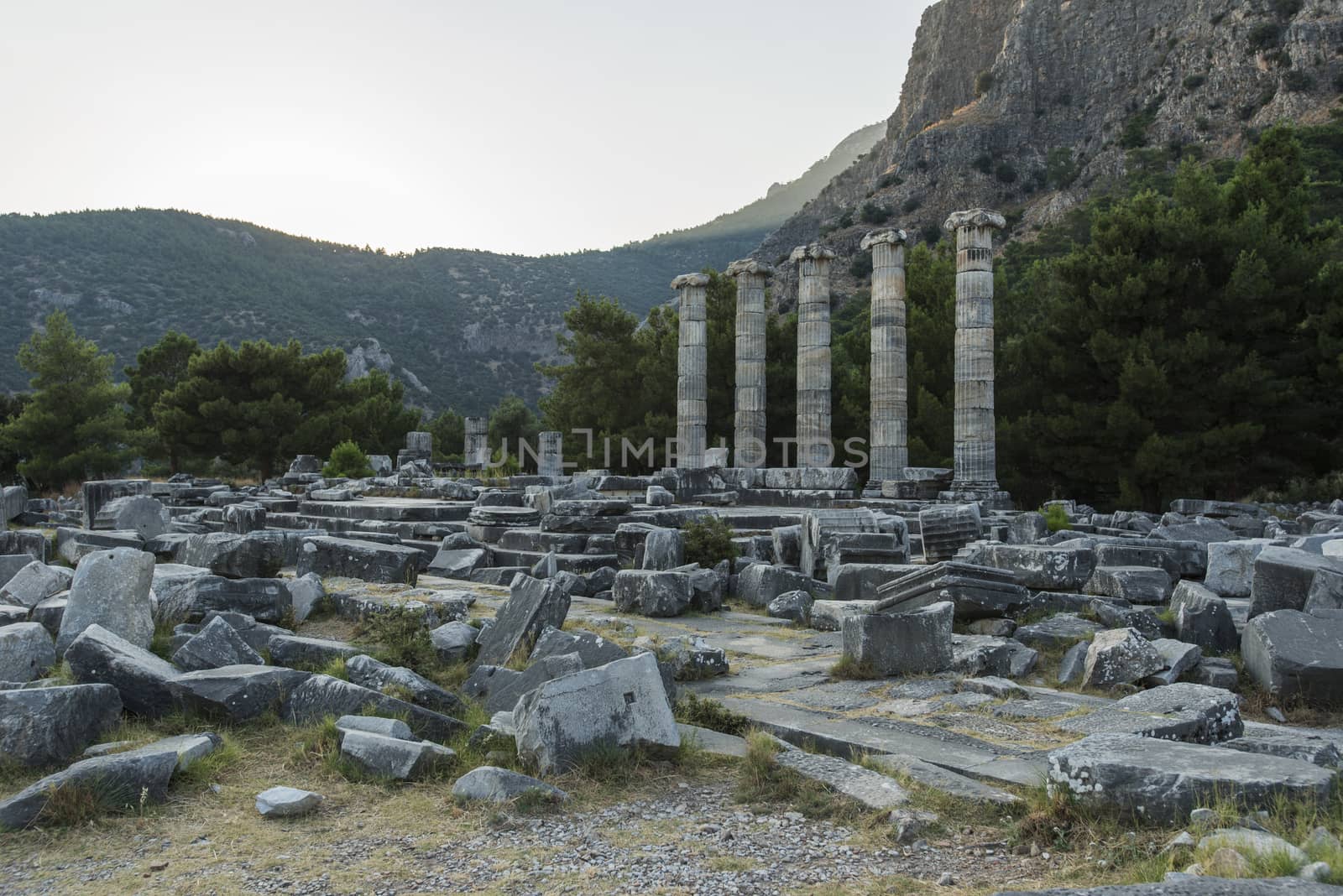 Columns of Priene