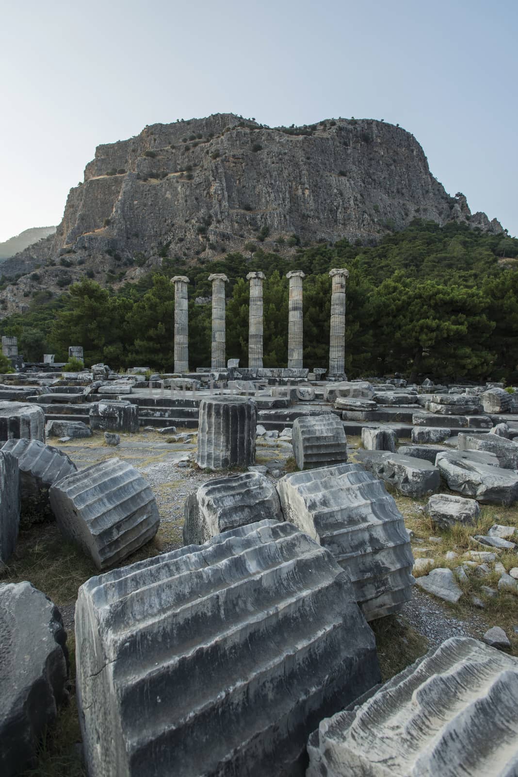 Columns of Priene