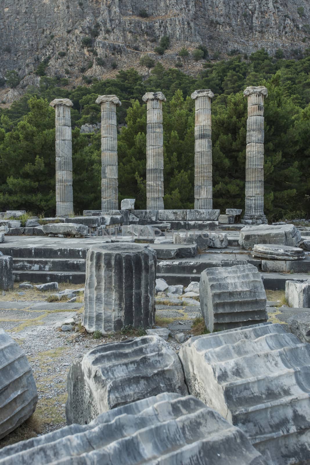 Columns of Priene