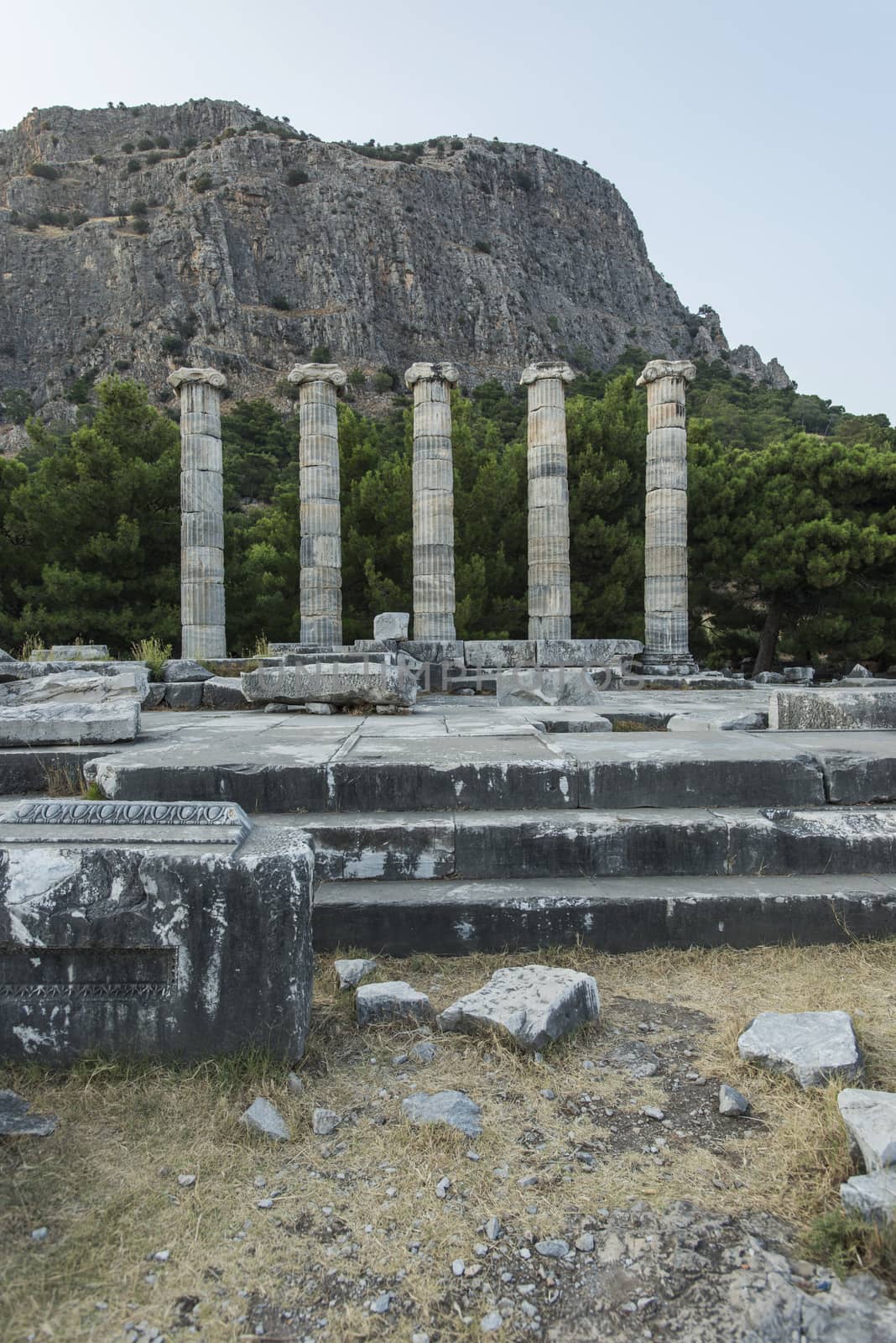 Columns of Priene by emirkoo