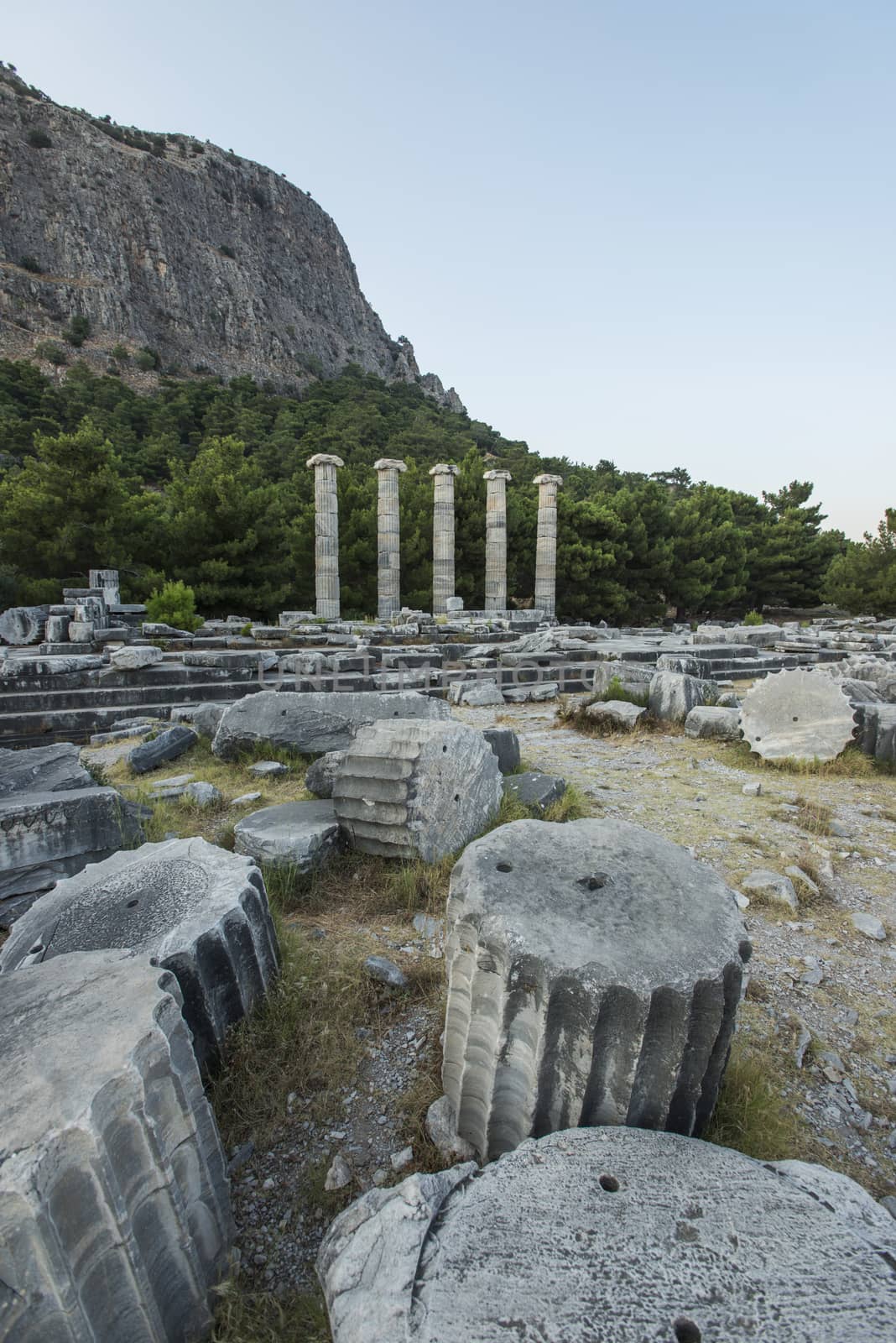 Columns of Priene