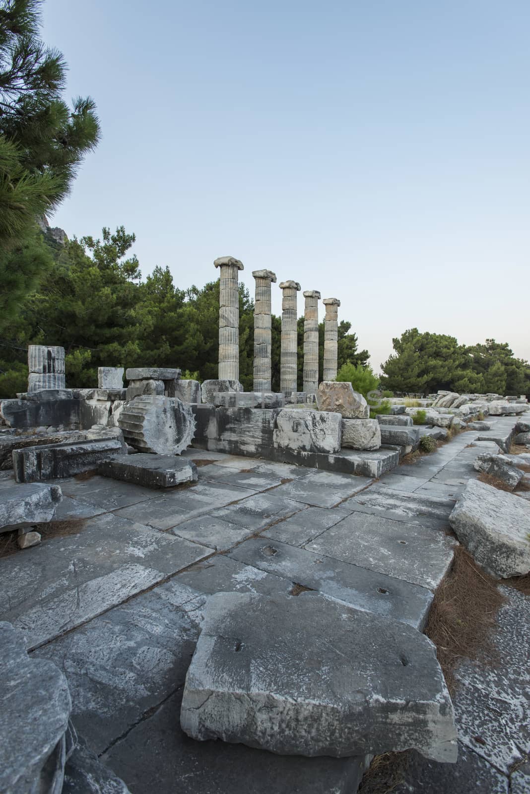 Columns of Priene