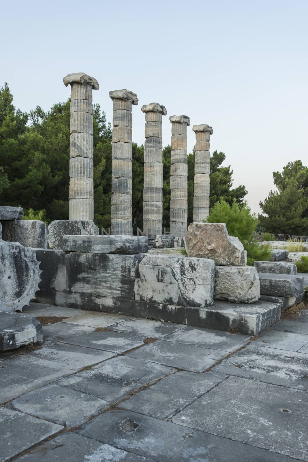 Columns of Priene