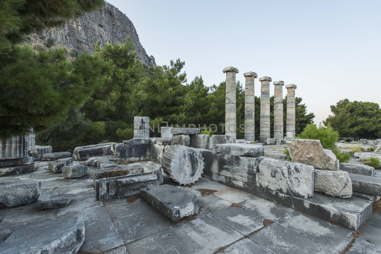 Columns of Priene by emirkoo