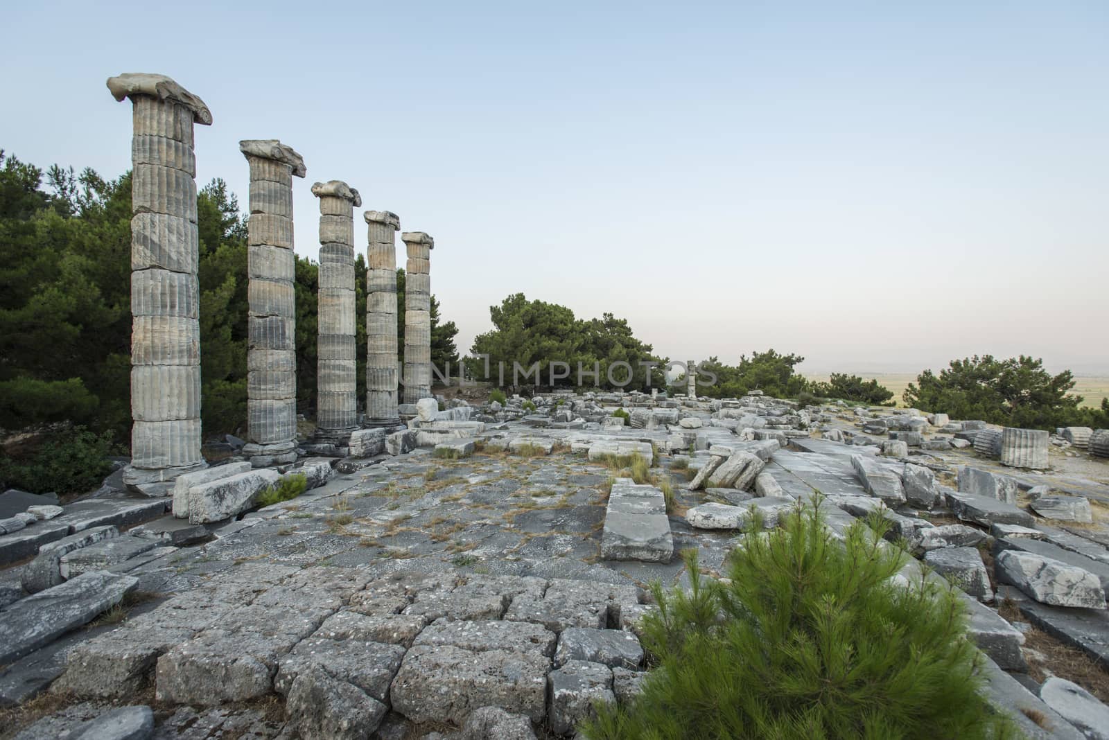 Columns of Priene by emirkoo