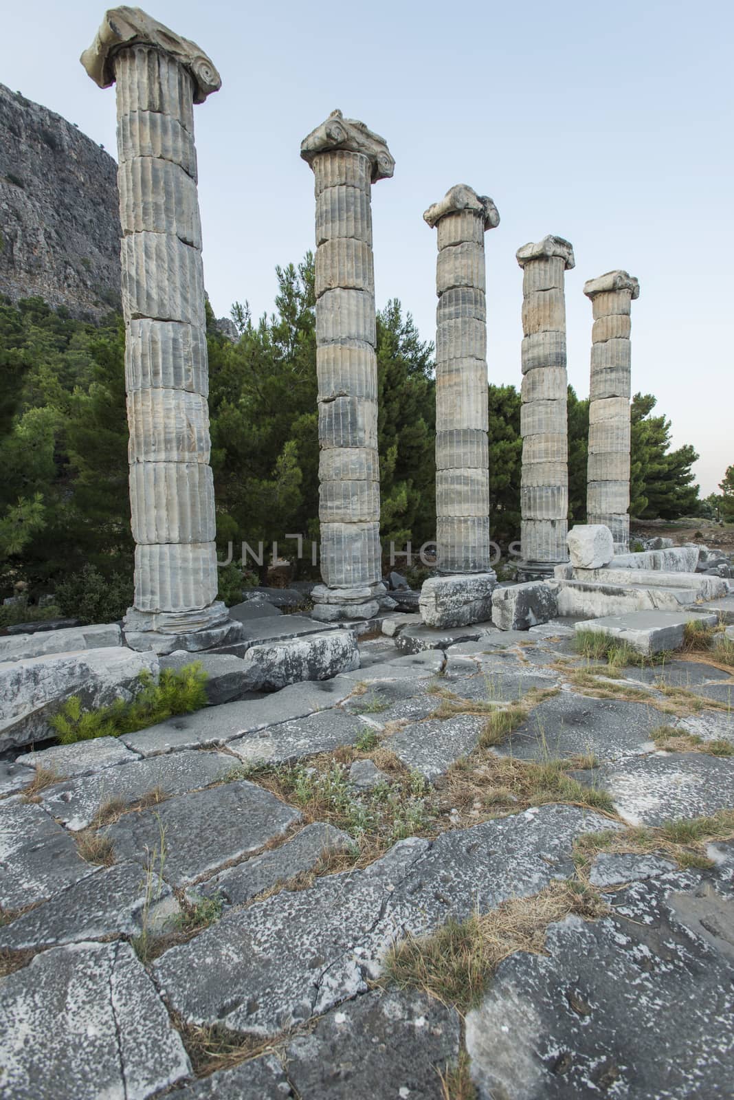 Columns of Priene by emirkoo