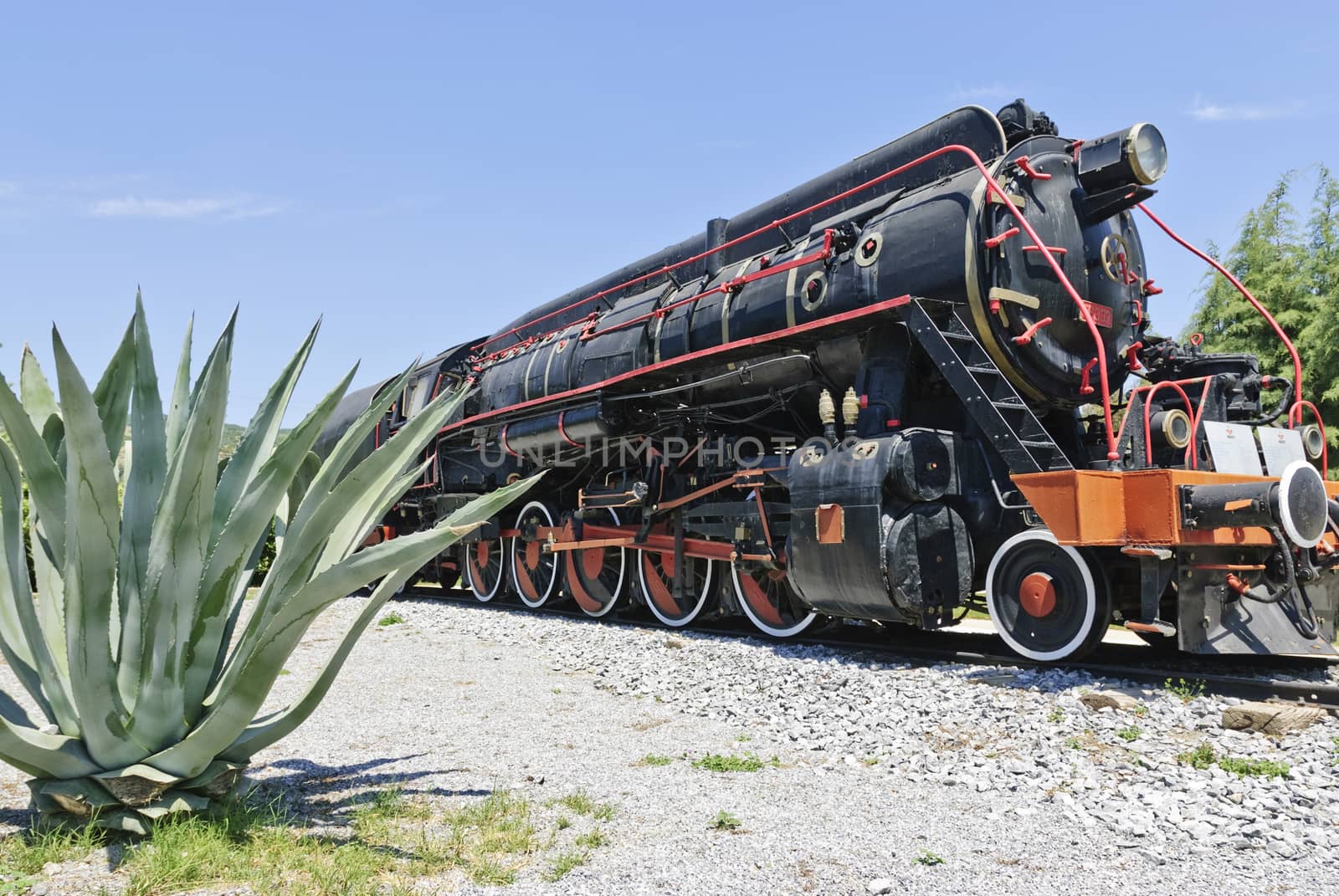 Steam Locomotive 