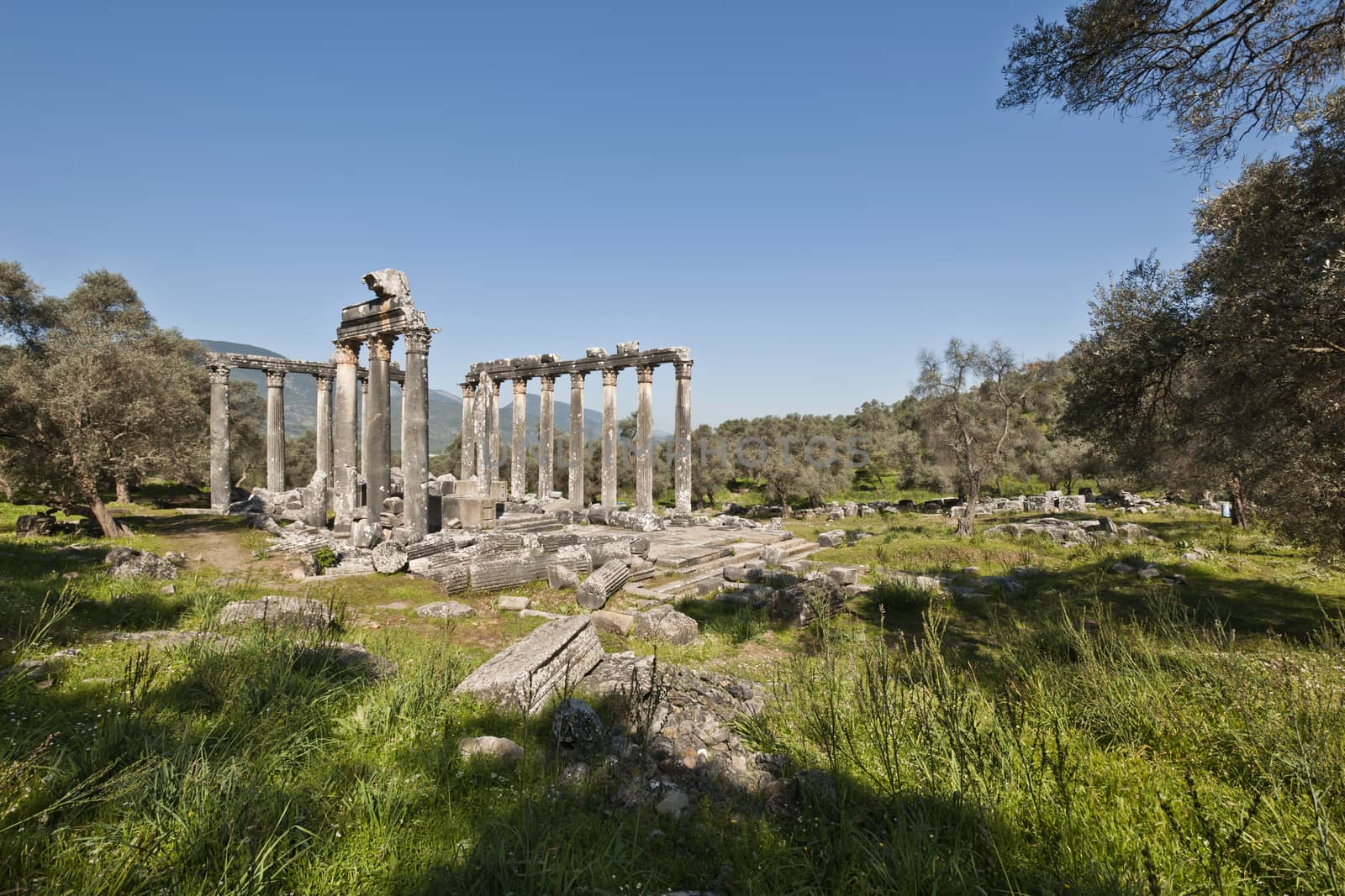 The Temple of Zeus at Euromos is to me the perfect ruined Greek temple.  Set in a forest of olive trees just east of the D525 highway between Selcuk (Ephesus) and Bodrum (25 km/16 miles SE of Lake Bafa, 13 km/8 miles NW of Milas), just south of the village of Selimiye (map), the Corinthian temple almost looks like a Hollywood set, except it's for real.  A shrine may have existed here from the 6th century BCE.  Believed to date from the time of Emperor Hadrian (117-138 CE), the Temple of Zeus Lepsynus and its precinct were excavated by Turkish archeologists starting in 1969. Look carefully and you'll see that some of the columns are unfluted, meaning perhaps that the temple was never finished.  Located about a mile south of the village of Selimiye, the temple area has no services, although there may be a villager selling cold drinks.  Stop for a half-hour's look if you're driving south from ?zmir or Ephesus headed for Milas, Bodrum or Marmaris.  This is actually a much larger archeological site than just the temple. The hillside to the east is littered with ruins, and if you spend an hour hiking around you can find a theater, an agora and massive defensive walls.