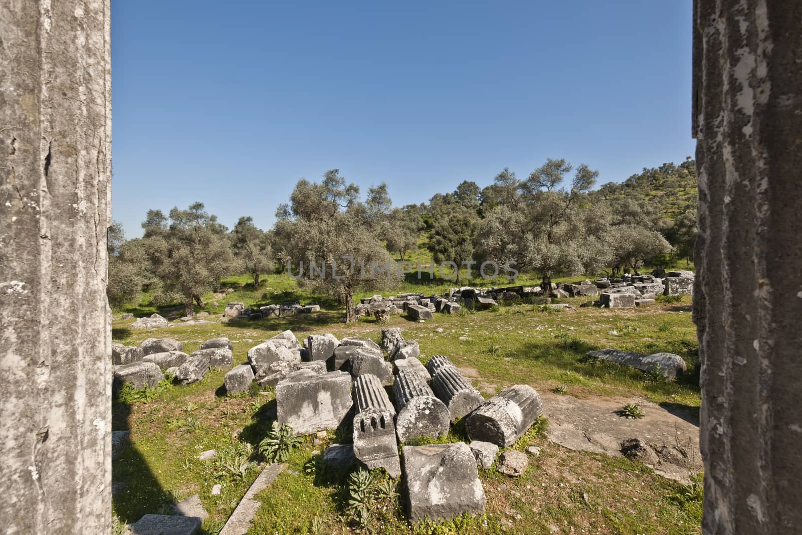 The Temple of Zeus at Euromos is to me the perfect ruined Greek temple.  Set in a forest of olive trees just east of the D525 highway between Selcuk (Ephesus) and Bodrum (25 km/16 miles SE of Lake Bafa, 13 km/8 miles NW of Milas), just south of the village of Selimiye (map), the Corinthian temple almost looks like a Hollywood set, except it's for real.  A shrine may have existed here from the 6th century BCE.  Believed to date from the time of Emperor Hadrian (117-138 CE), the Temple of Zeus Lepsynus and its precinct were excavated by Turkish archeologists starting in 1969. Look carefully and you'll see that some of the columns are unfluted, meaning perhaps that the temple was never finished.  Located about a mile south of the village of Selimiye, the temple area has no services, although there may be a villager selling cold drinks.  Stop for a half-hour's look if you're driving south from ?zmir or Ephesus headed for Milas, Bodrum or Marmaris.  This is actually a much larger archeological site than just the temple. The hillside to the east is littered with ruins, and if you spend an hour hiking around you can find a theater, an agora and massive defensive walls.